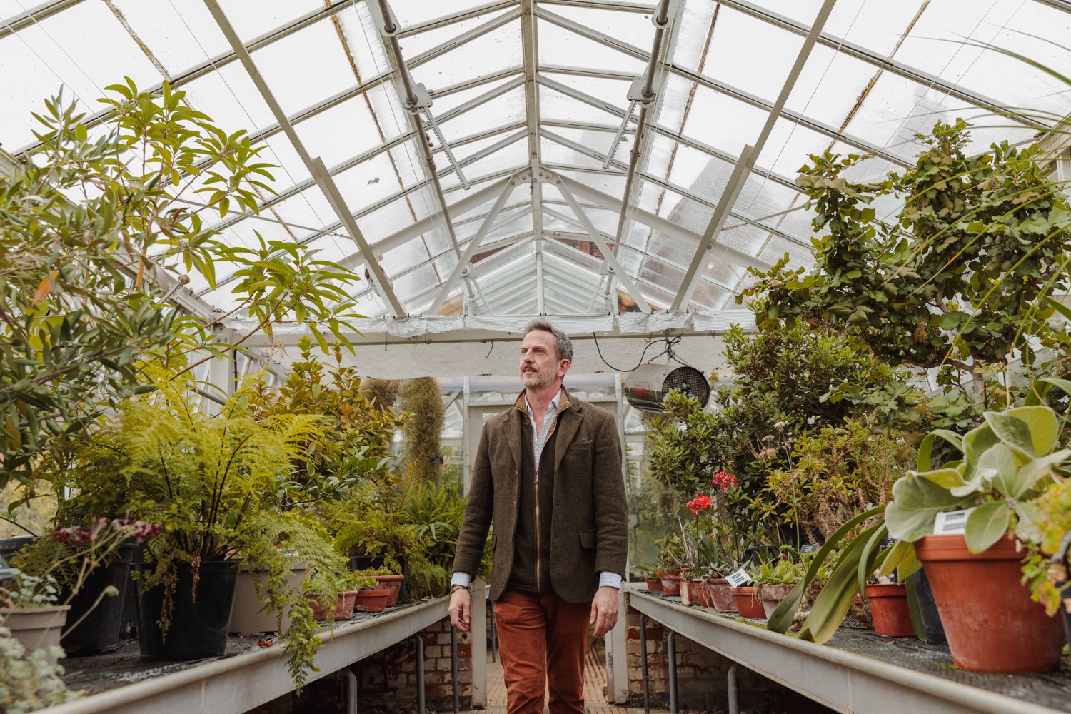 A man standing inside a greenhouse surrounded by various potted plants and flowers.
