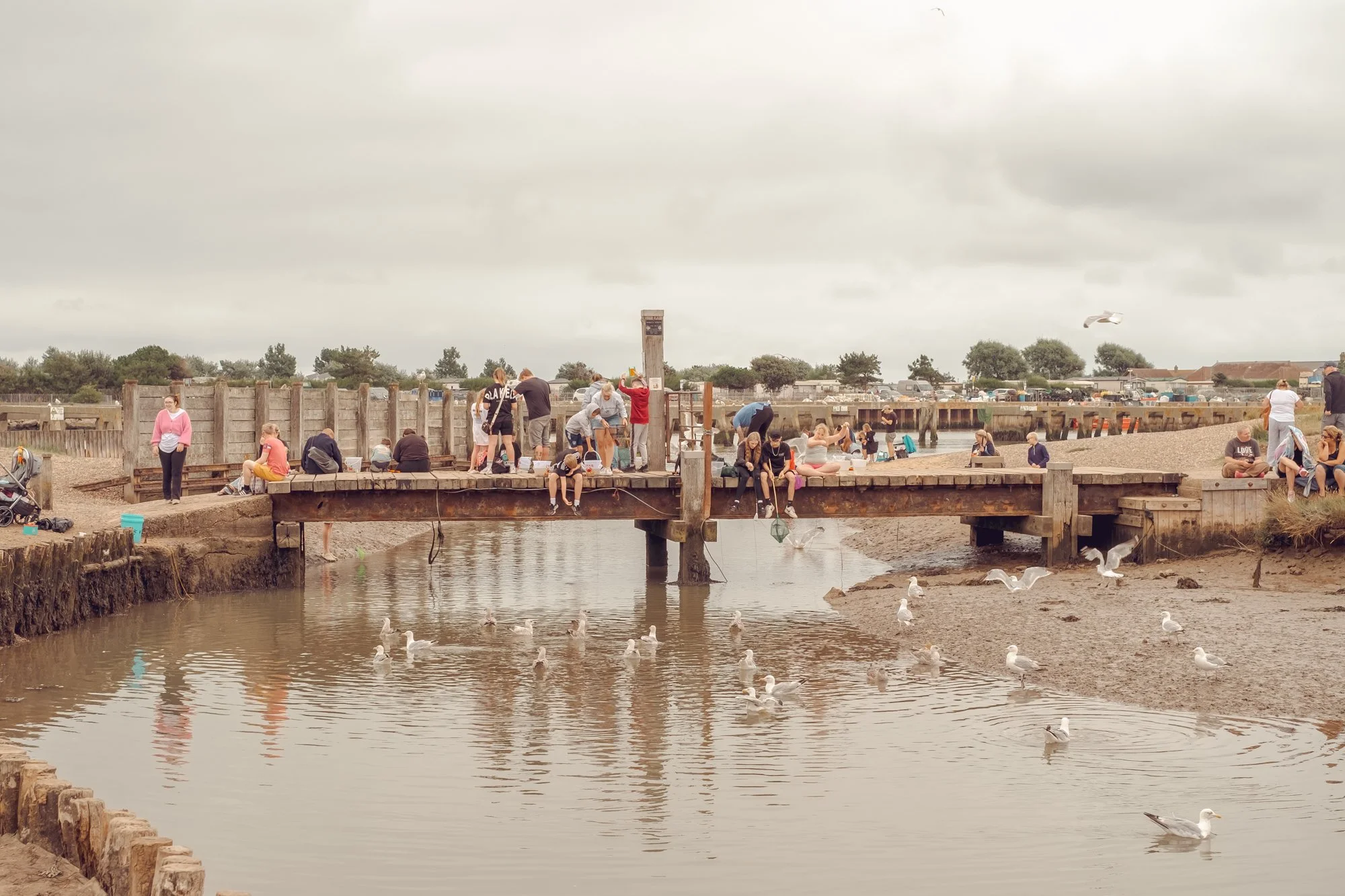 People gathered on a wooden pier over a muddy waterway, with seagulls flying and swimming in the water, under a cloudy sky.