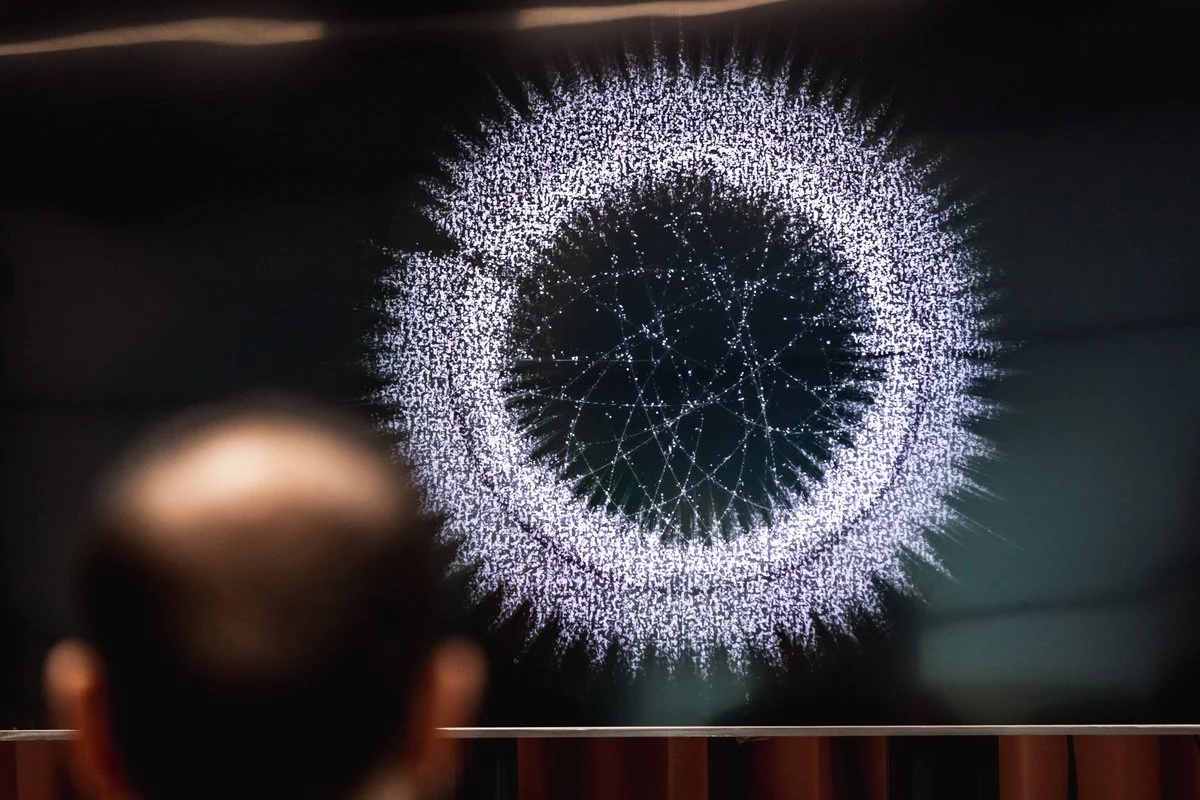 A person looking at a large screen displaying a digital 3D model of a spherical structure made of interconnected points and lines, resembling a network or constellation.