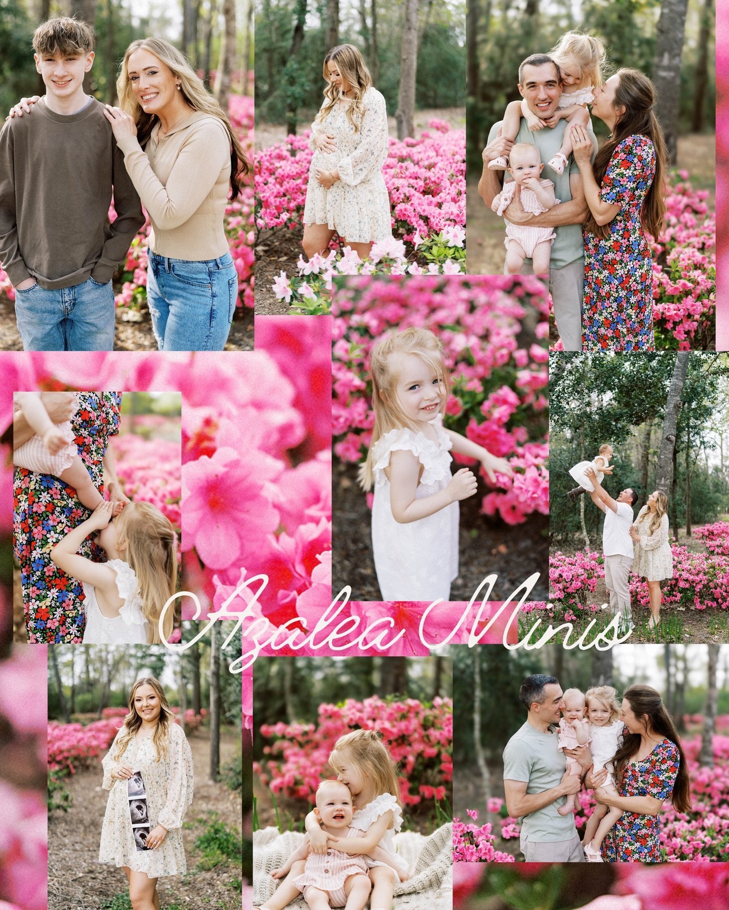 Azalea Minis are live on my booking site! March 21 &amp; 22 in The Woodlands, Texas. Perfect for mommy + me, baby announcements, seniors or just updated family photos that aren&rsquo;t Christmas card inspired.🌸🫶🏽✨

Houston Family Photographer / Th