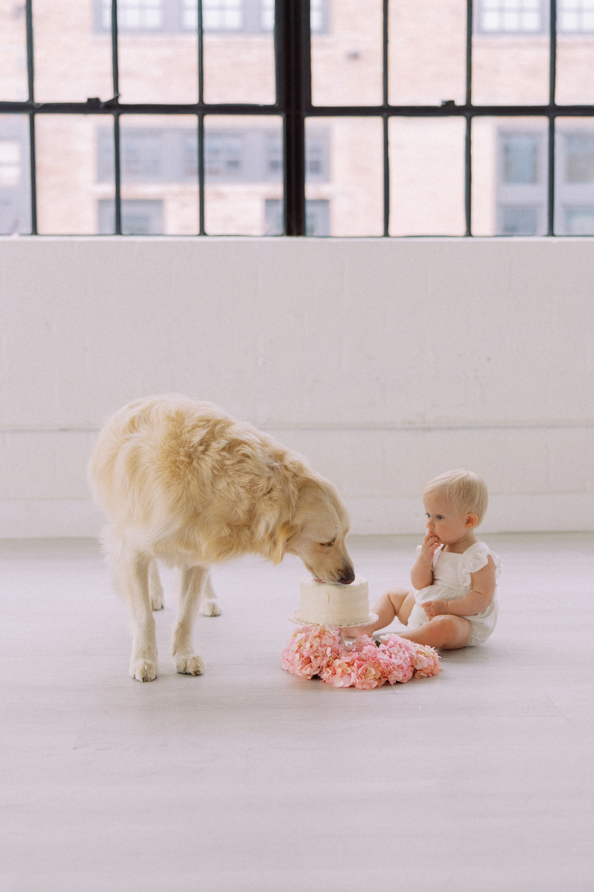 1st Birthday Portraits at The Lumen Room Studio Houston