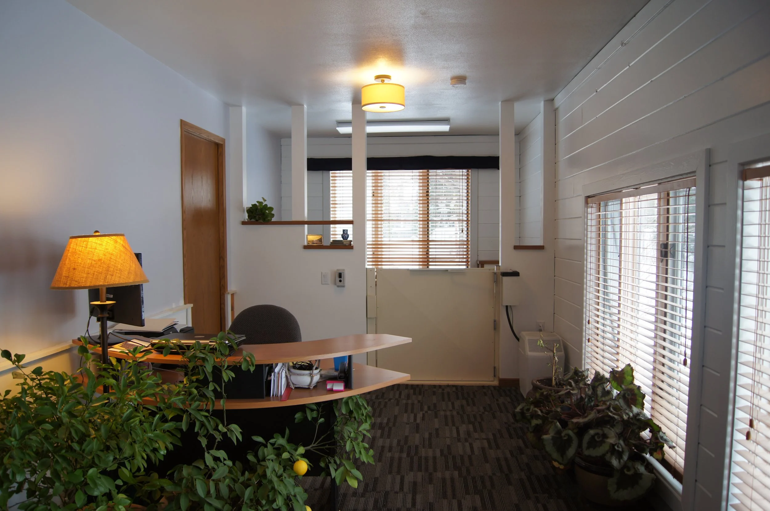 Office reception area with a curved desk, computer, lamp, and plants, featuring wood blinds on the windows and white shiplap walls.