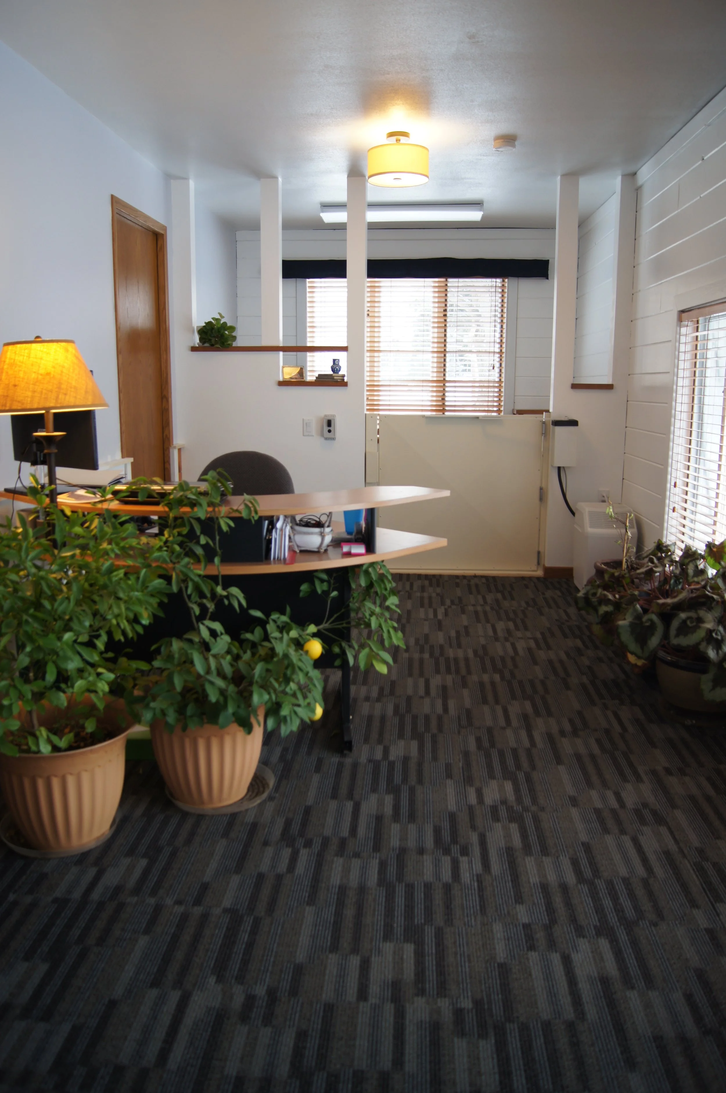 Office reception area with a desk, computer, plants, window with blinds, and various decor.