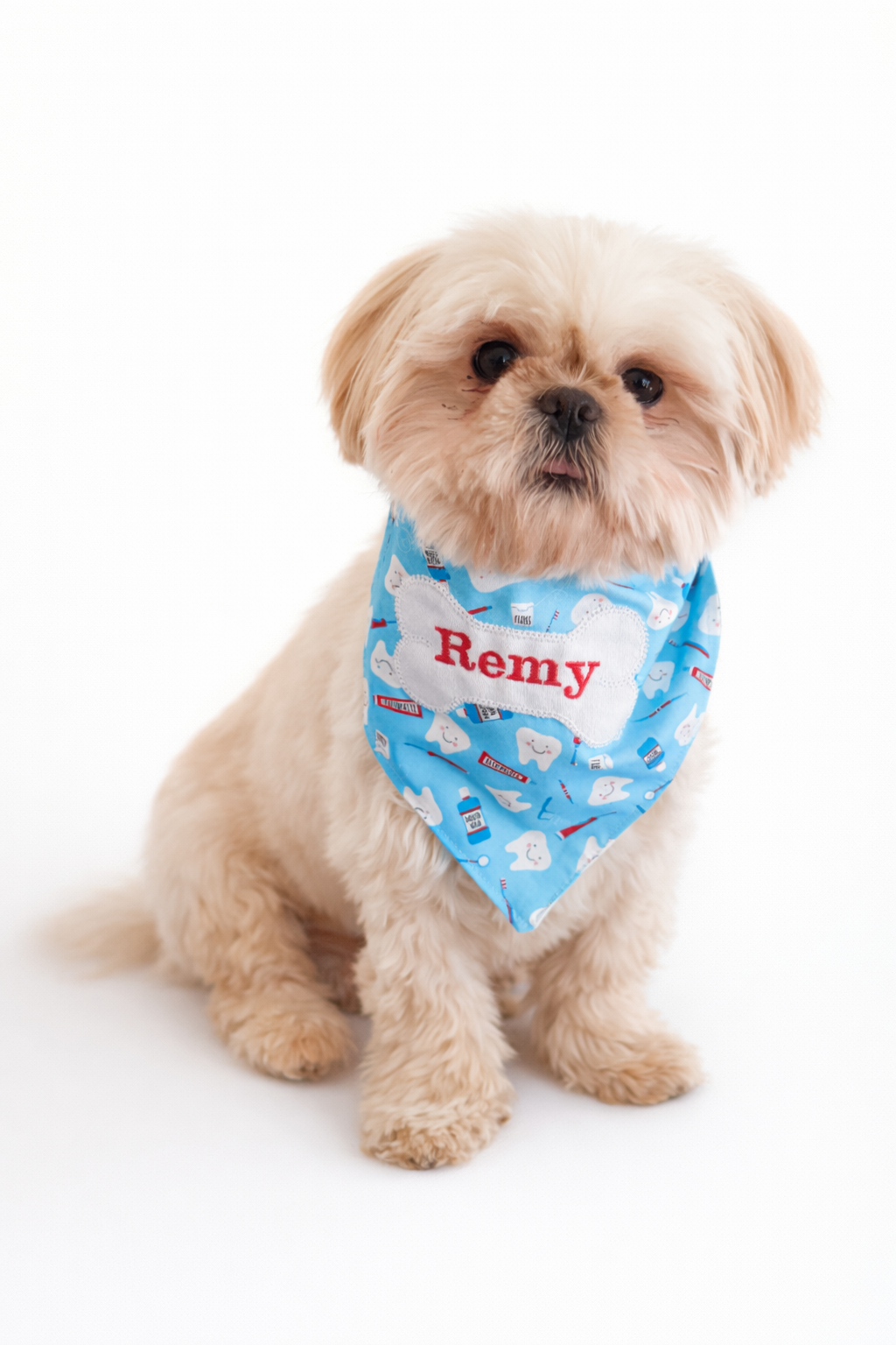 Friendly therapy dog helping children feel calm at anxiety-friendly pediatric dental office