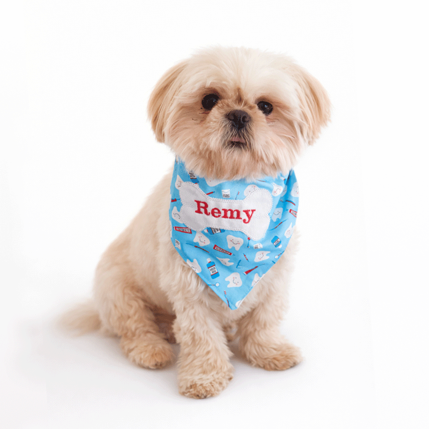Friendly therapy dog helping children feel calm at anxiety-friendly pediatric dental office