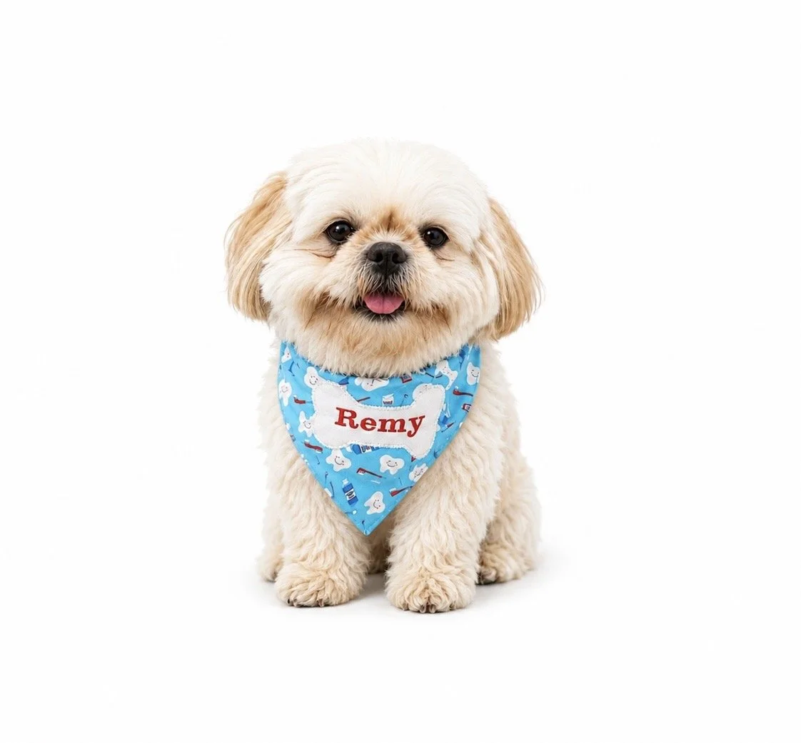 Adorable small fluffy dog with cream-colored fur wearing a blue bandana with white clouds, red text saying 'Remy', sitting against a white background.