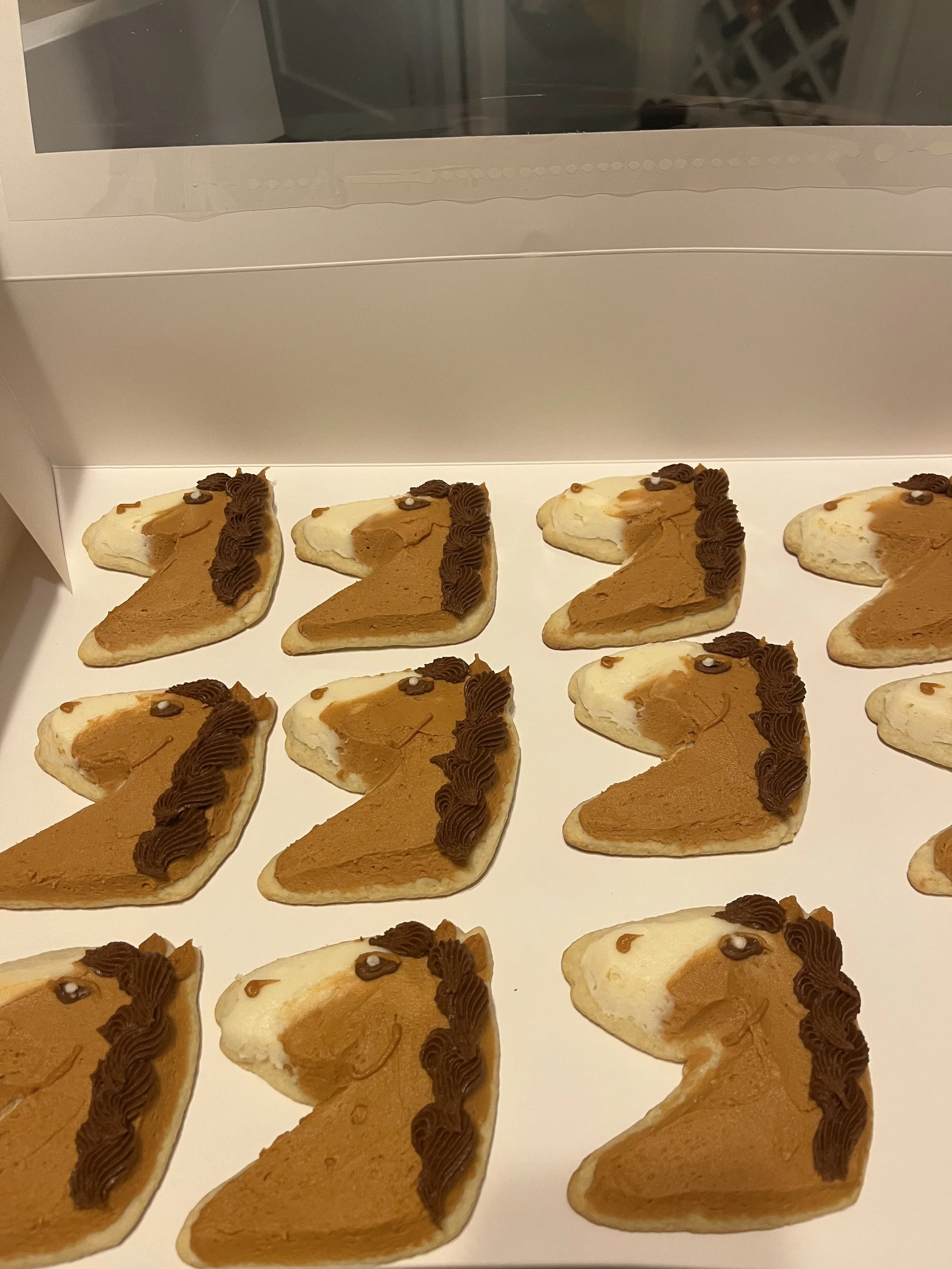 horse cookies.jpeg