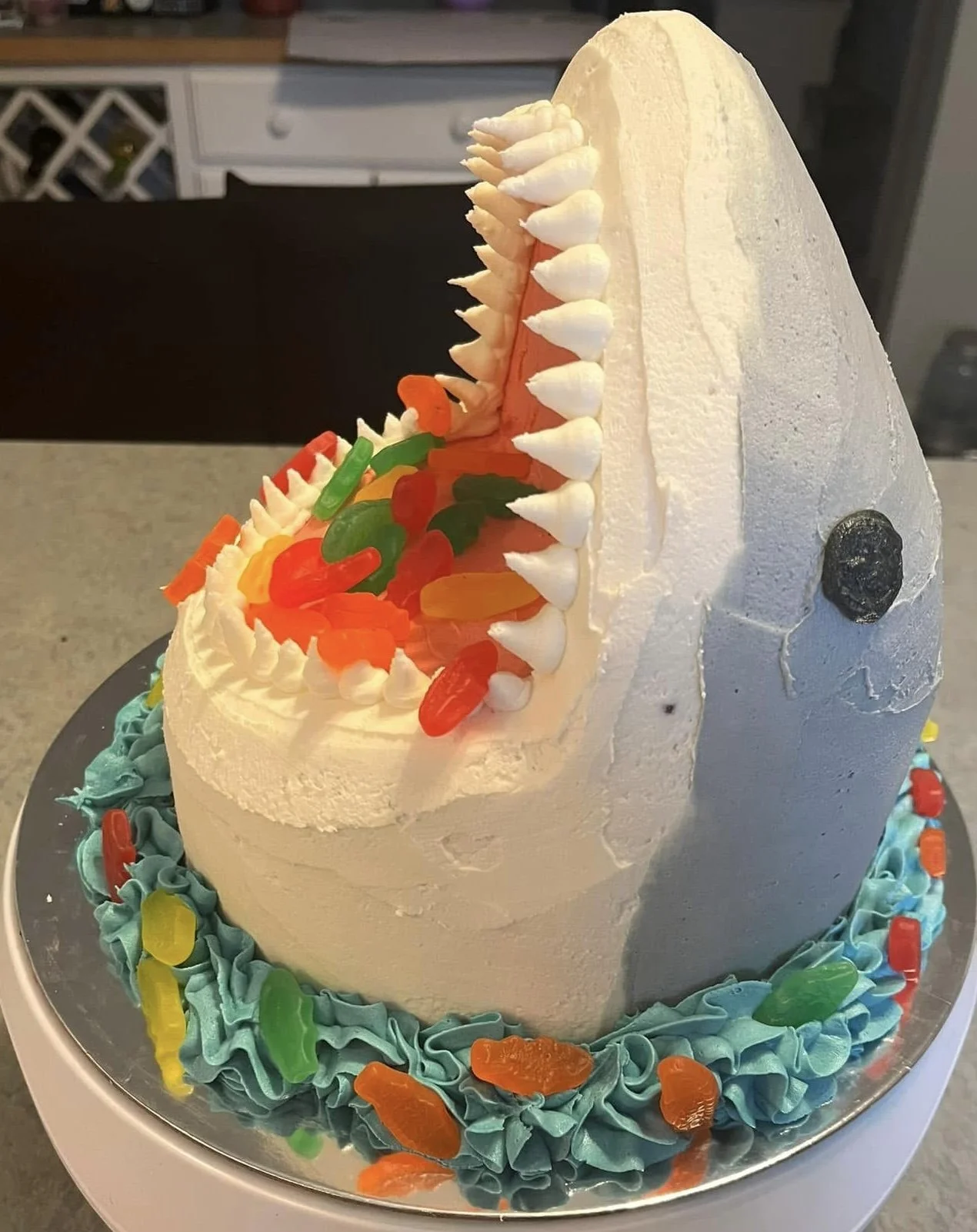shark gummi cake.jpg