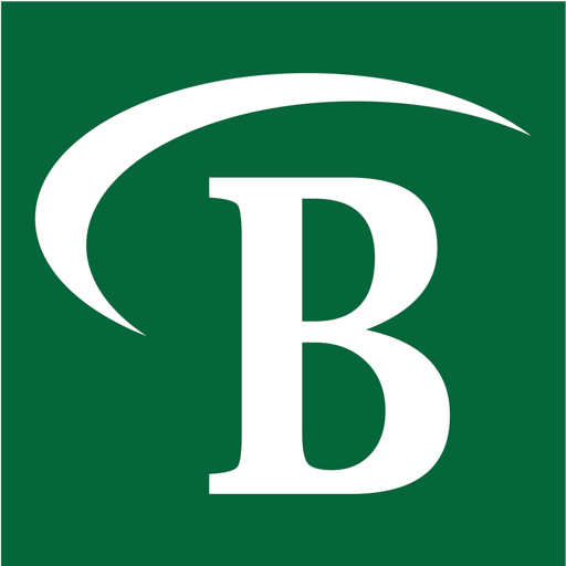 Brown Consulting, LTD.