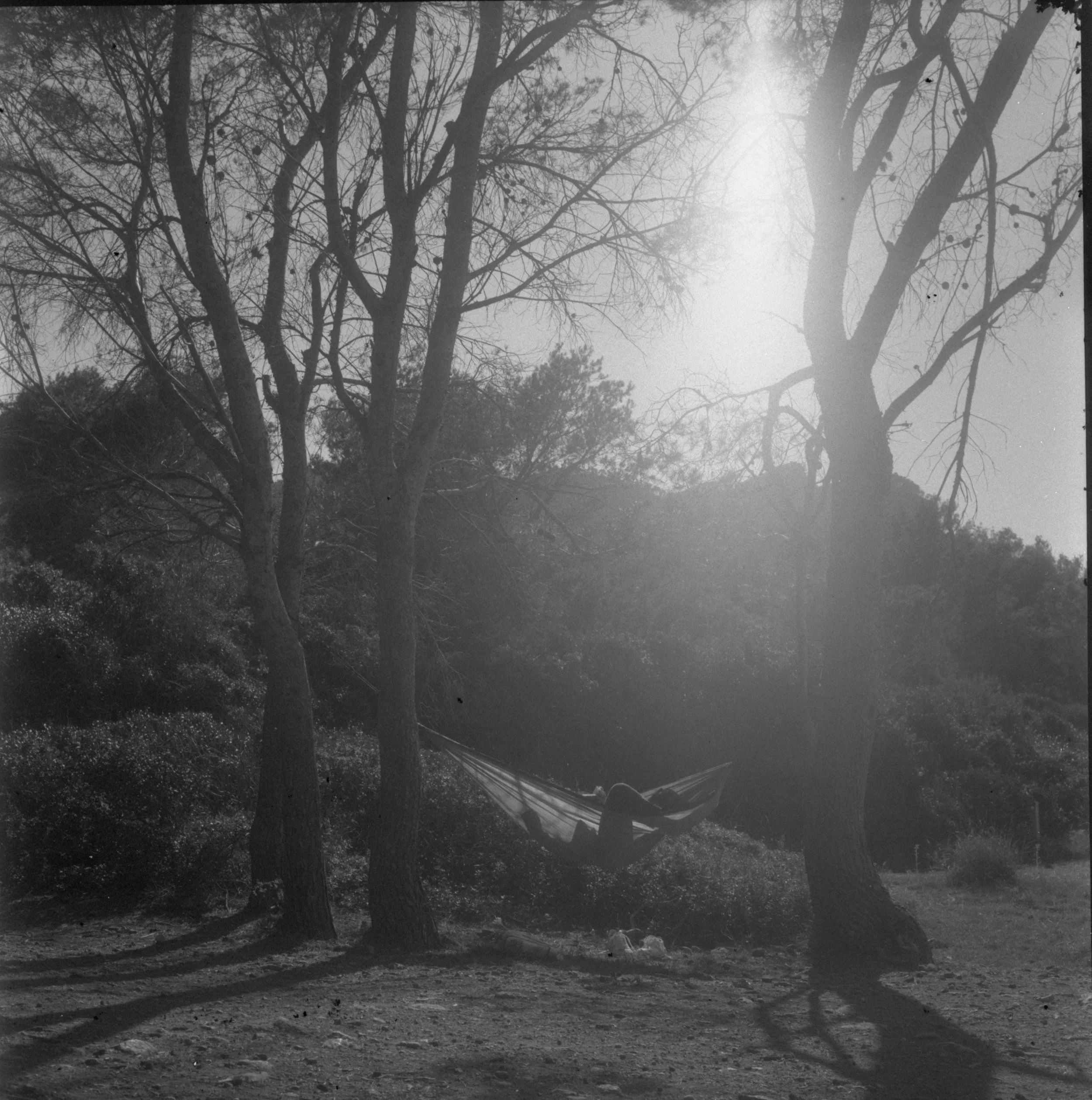 img20240313_10125394 (1).jpg