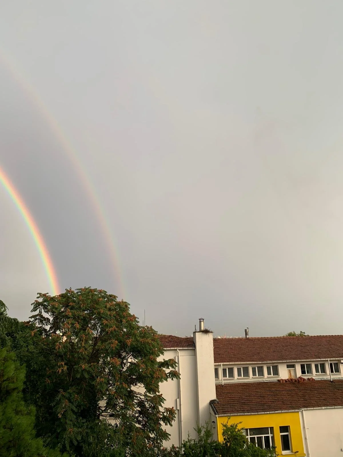 DOĞU & ERİNÇ PORTFOLYO HAZIRLIK ATÖLYESİ VE EĞİTİM DANIŞMANLIĞI

