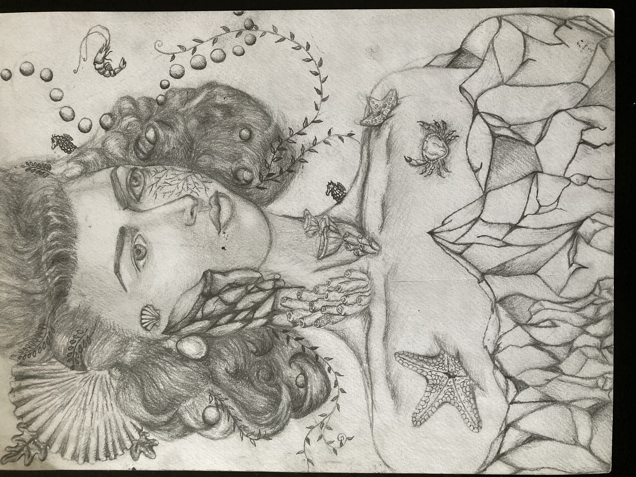 A detailed pencil drawing of a woman with long, curly hair adorned with seashells and leaves, lying among rocks on a beach. Her hand is near her mouth, with starfish and seashells around her, and her face features a leaf design across her eyes.