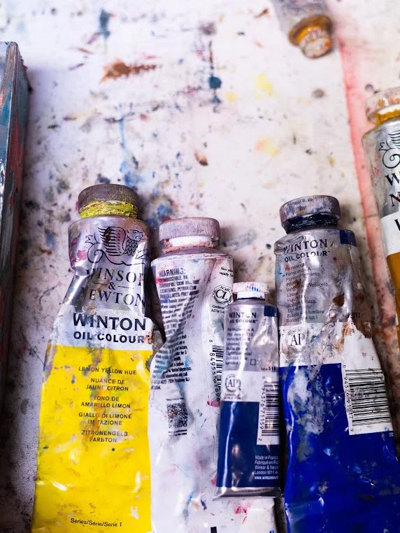 Gabrielle Sabri art oil painter.jpg