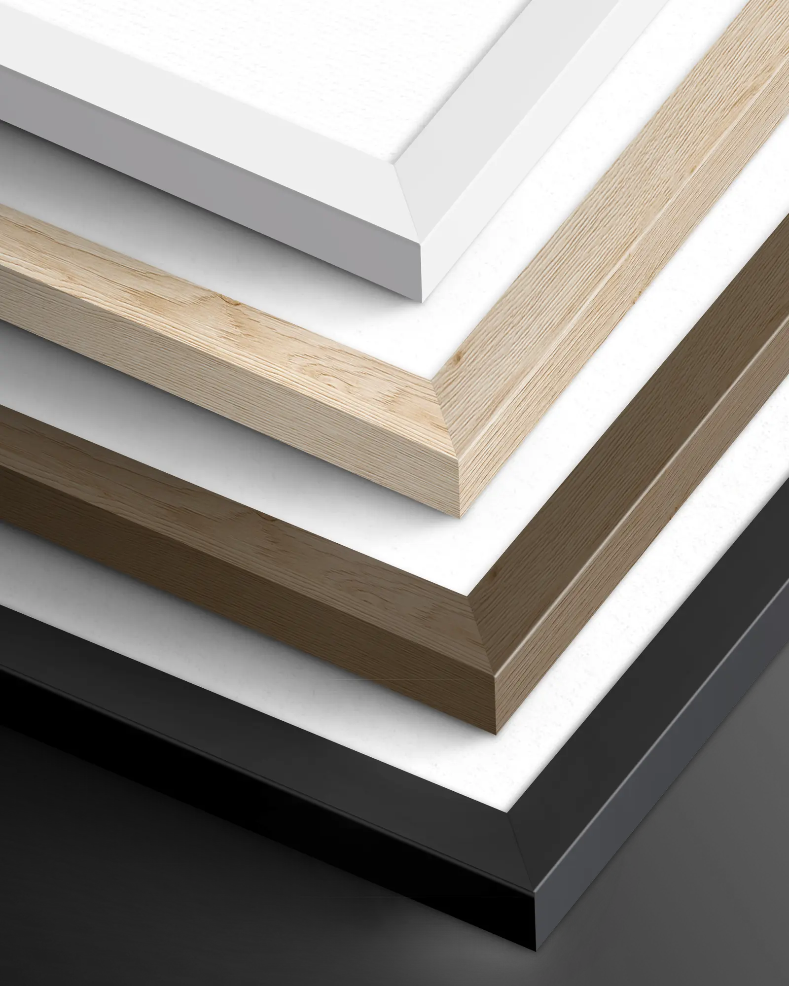 Frames She Believed She Could.png