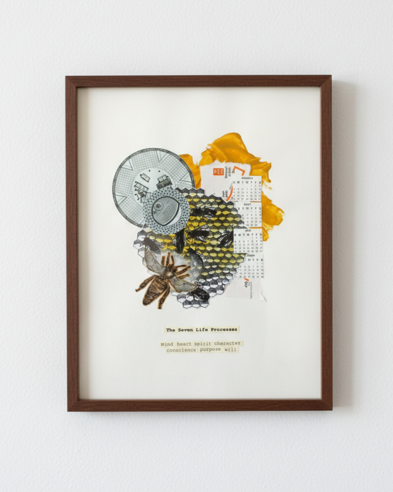 The Seven Life Processes: Bee Collage