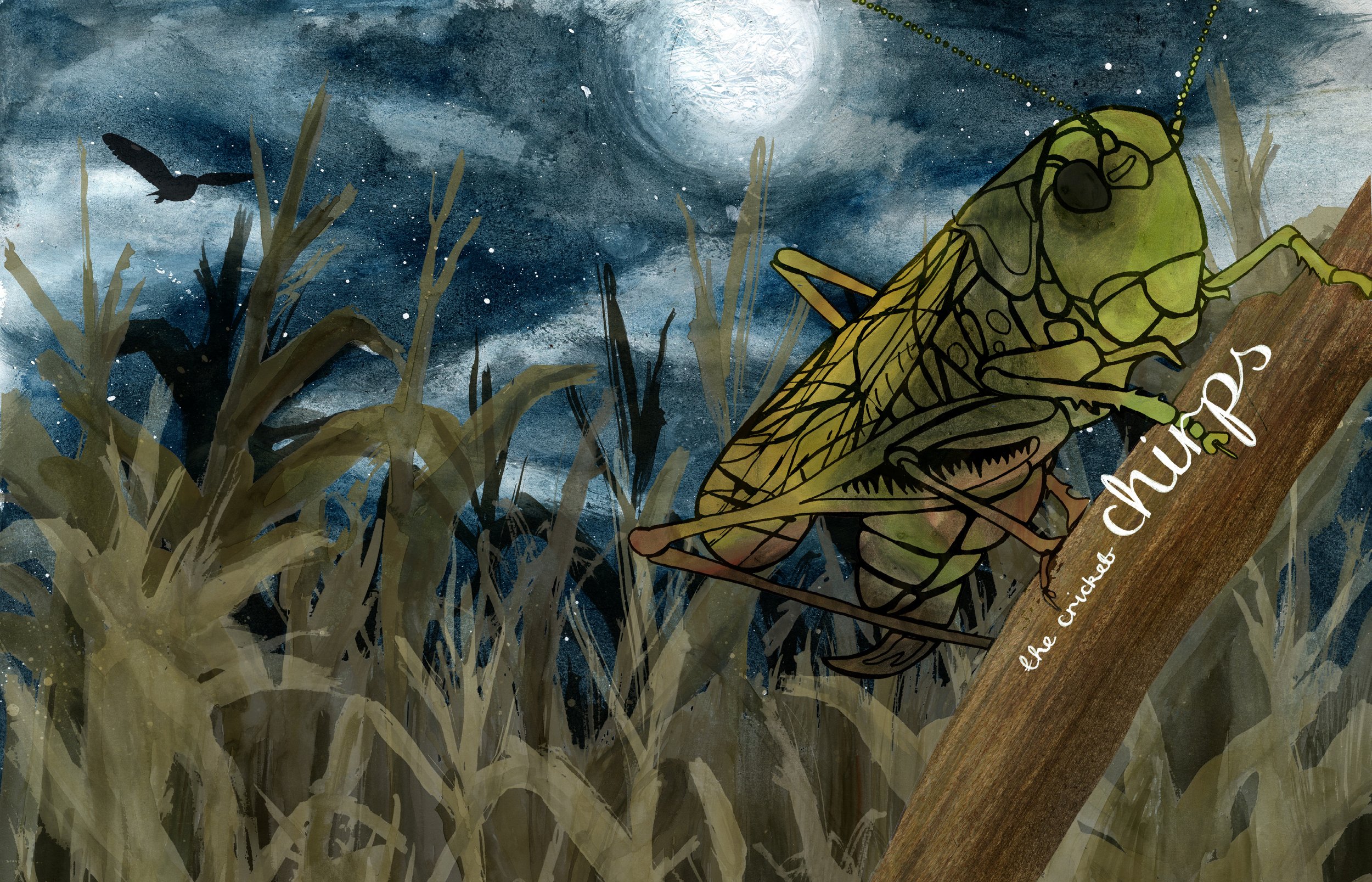 6 Cricket Chirps.jpg