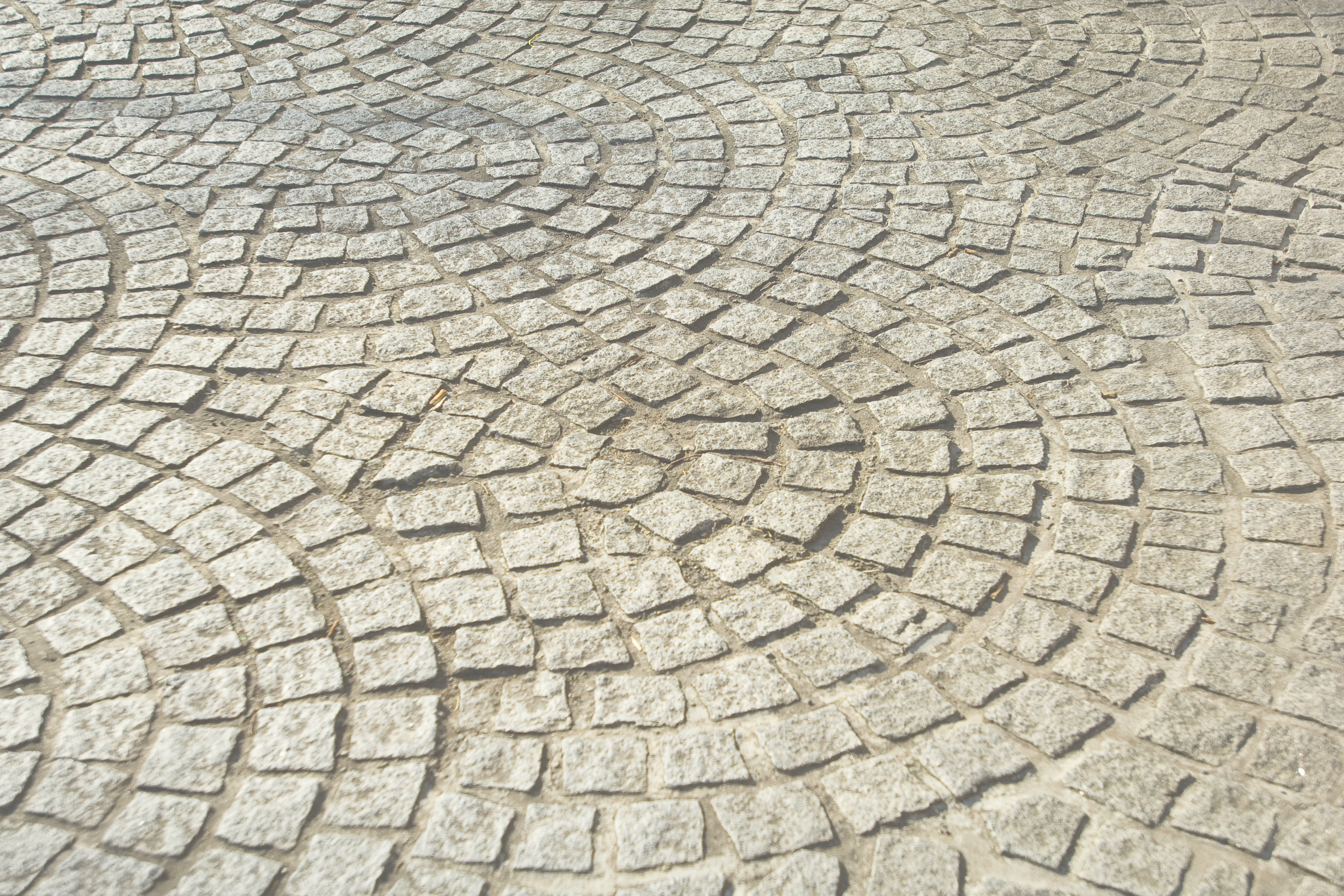 A Passage on the Camino