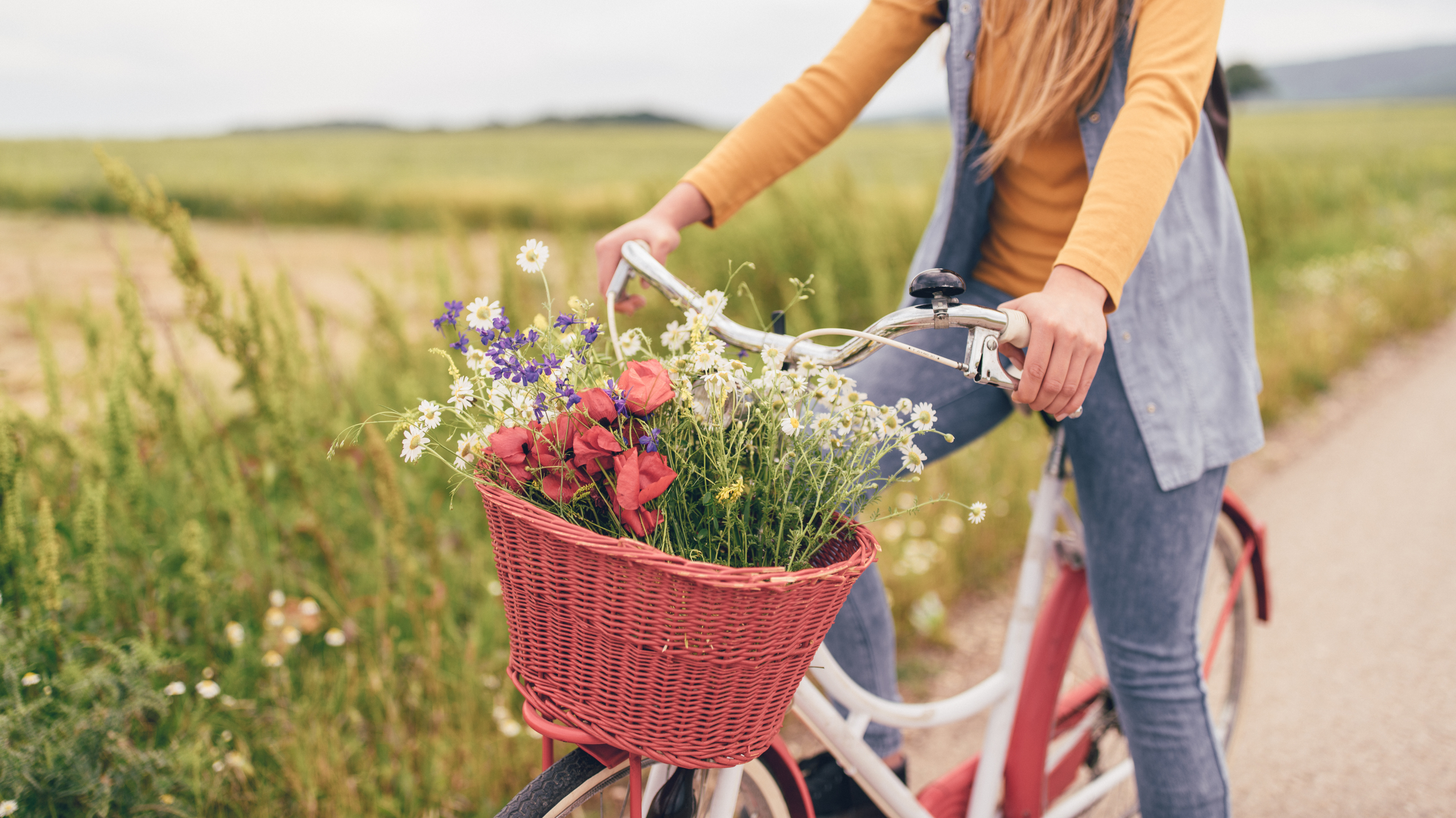 Person riding a bicycle with a front basket filled with colorful flowers on a rural path.