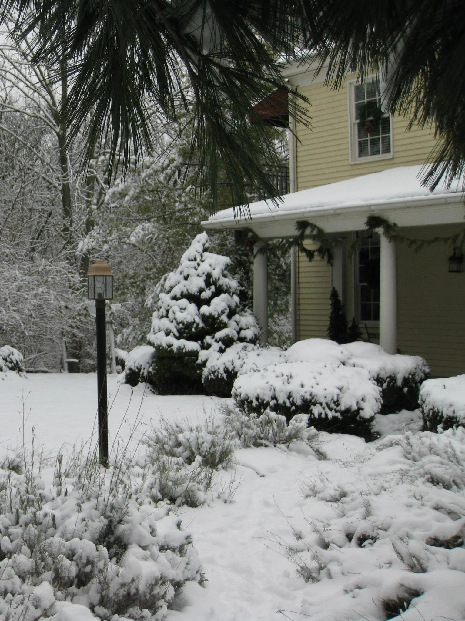 Snow-covered front yard with bushes, a tree, and a lamp post in front of a yellow house.