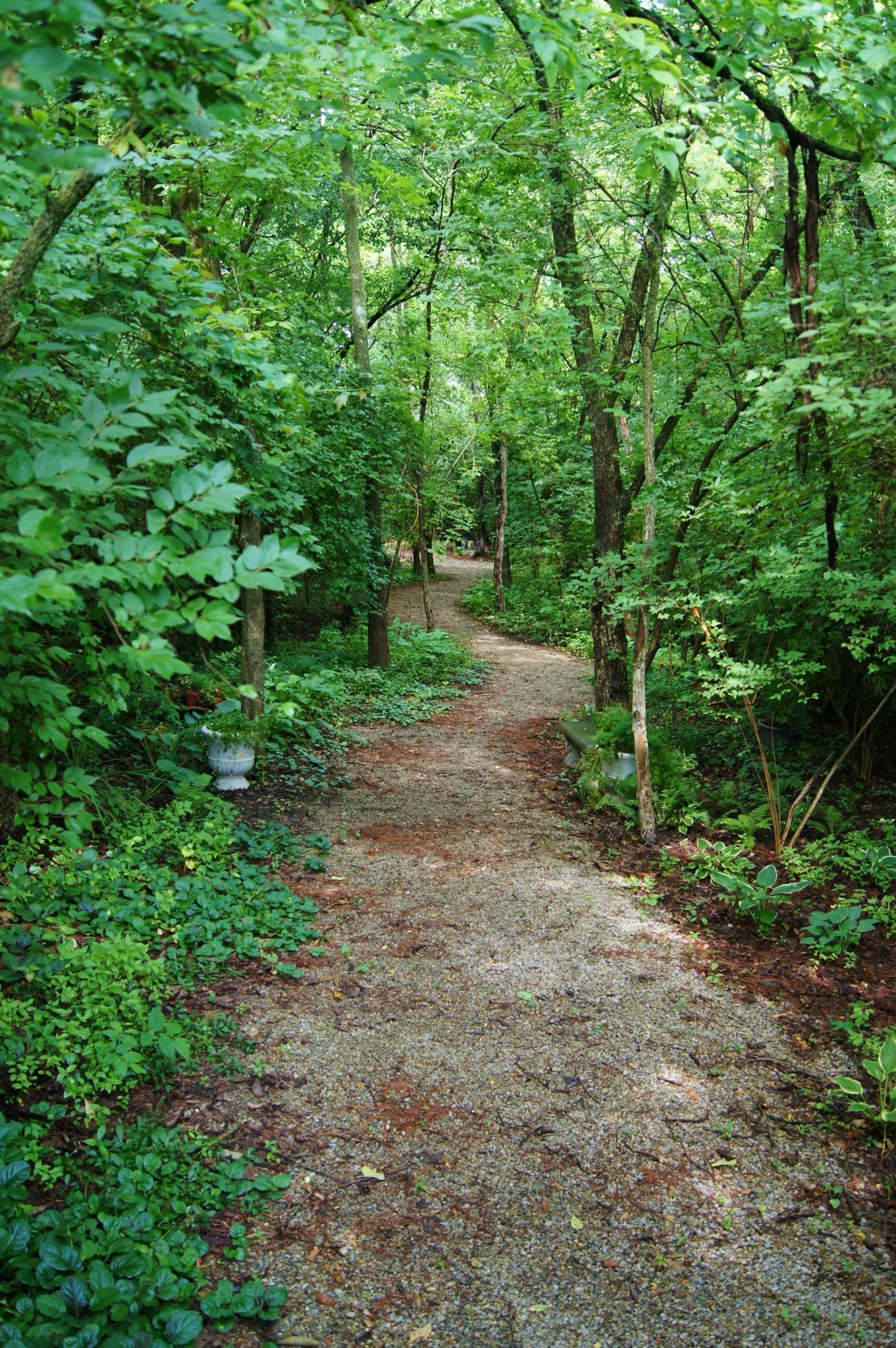 A narrow dirt pathway winding through a lush, green forest with dense foliage and trees on either side.