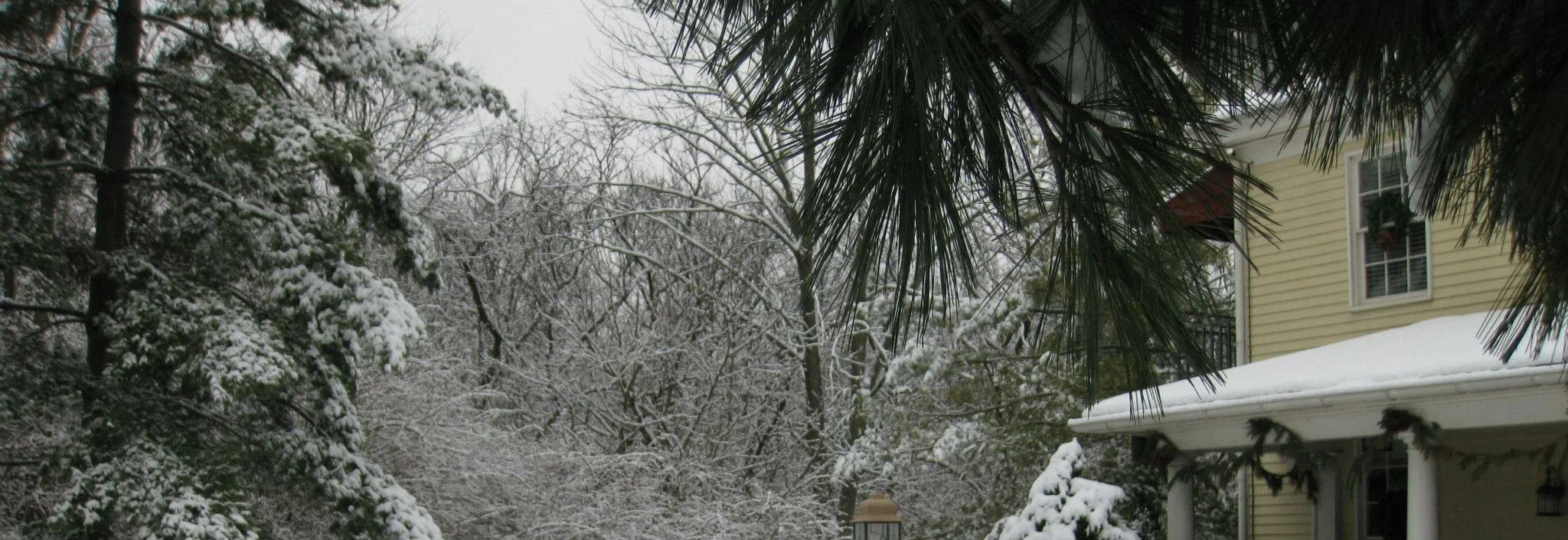 Snow-covered trees next to a yellow house with a porch decorated for Christmas.