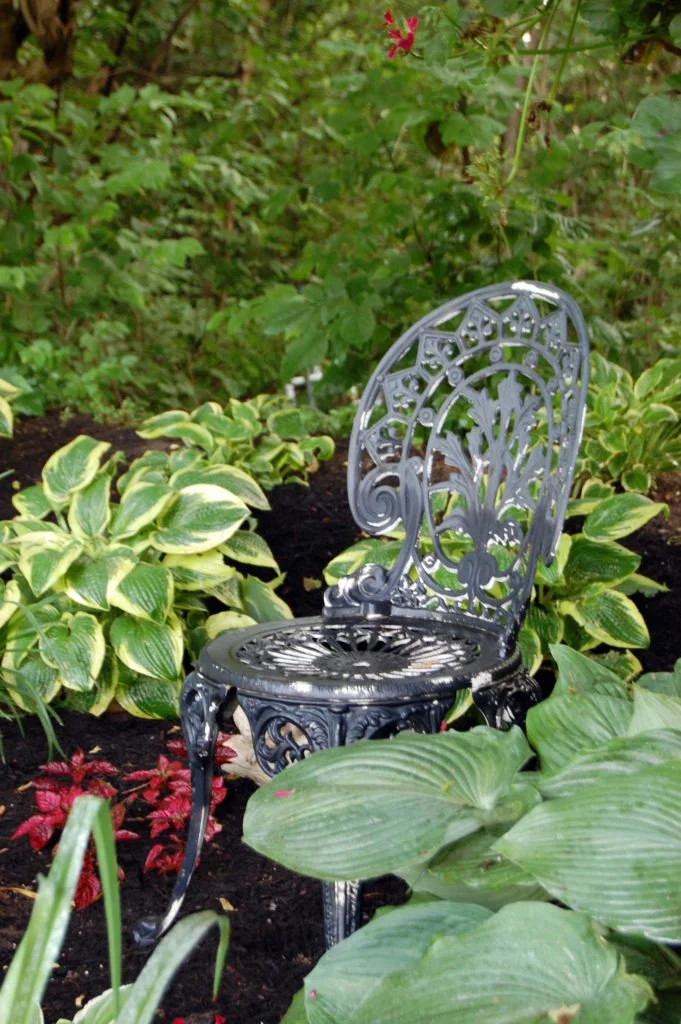 Black ornate metal garden chair surrounded by green and variegated hosta plants and red flowering plants, in a lush garden setting.