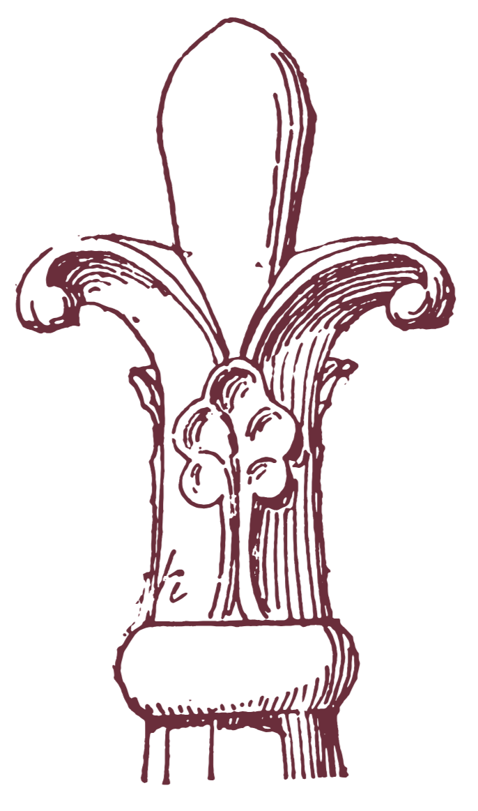 Stylized illustration of a banana flower in dark purple on black background.