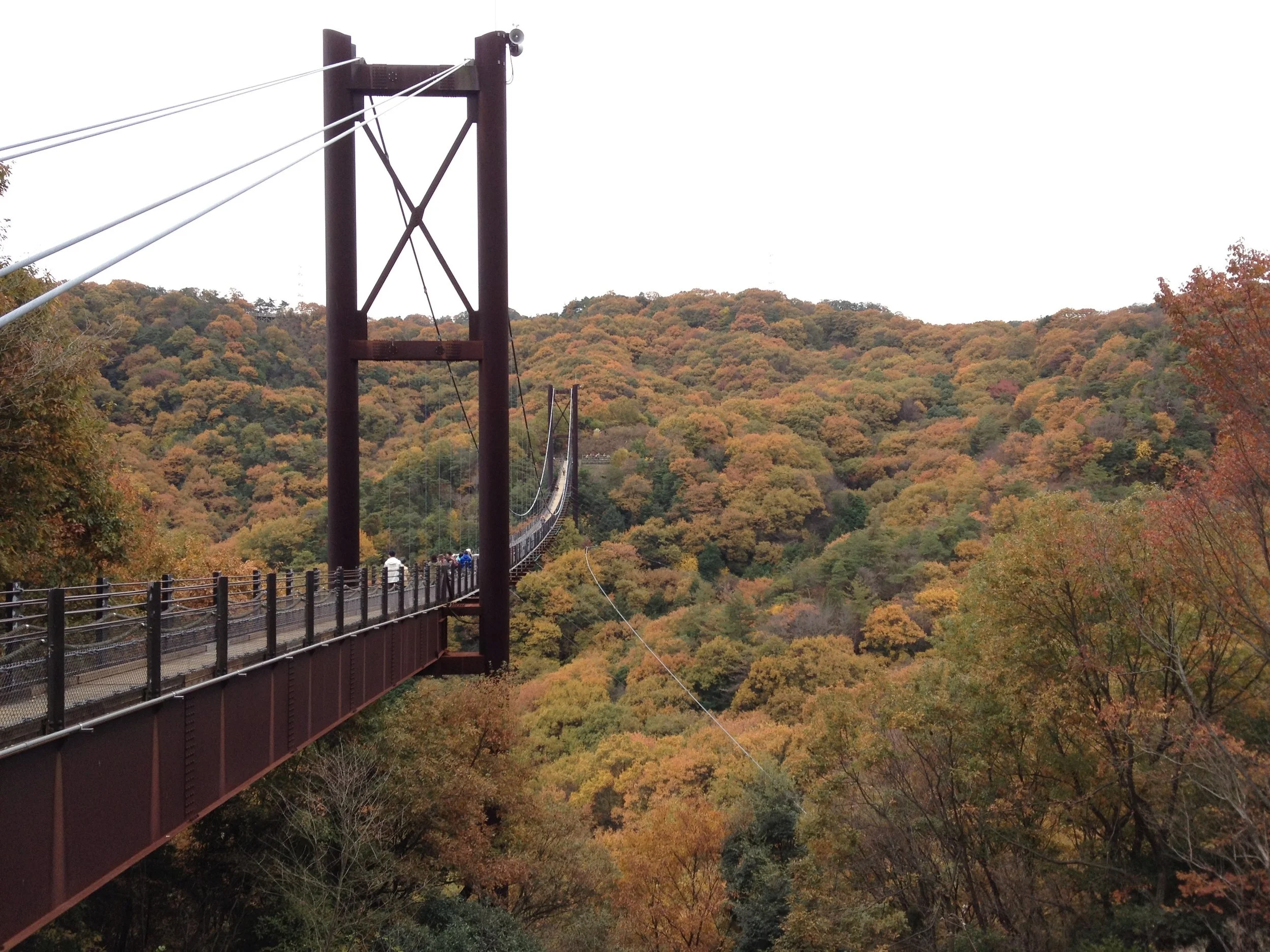 Suspension bridge stretching across a valley with colorful autumn trees and hills in the background.