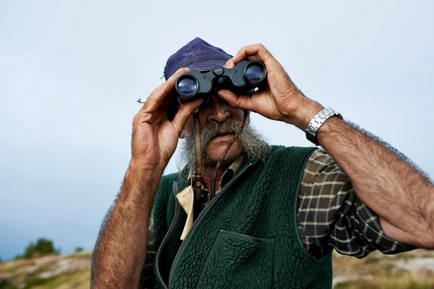 Manuel_Ferrigato_Brillenschaf(3).jpg