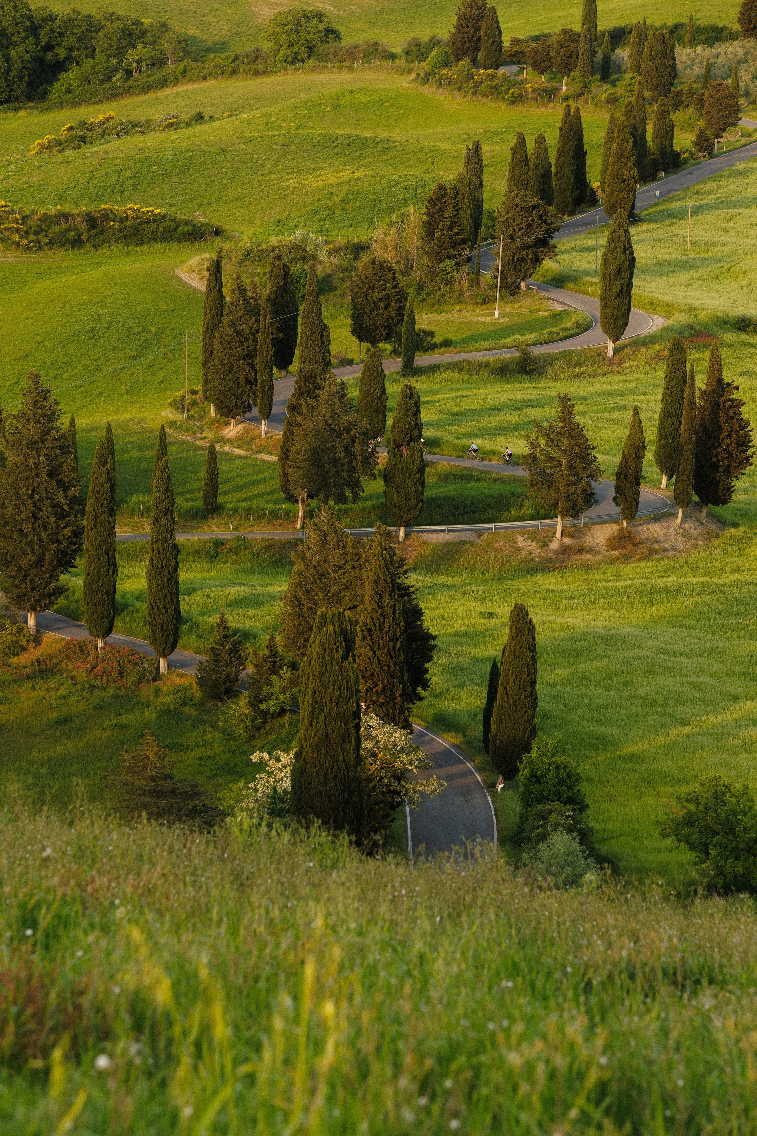 Maloja Summer 2025 Gravel Bike 27990.jpg