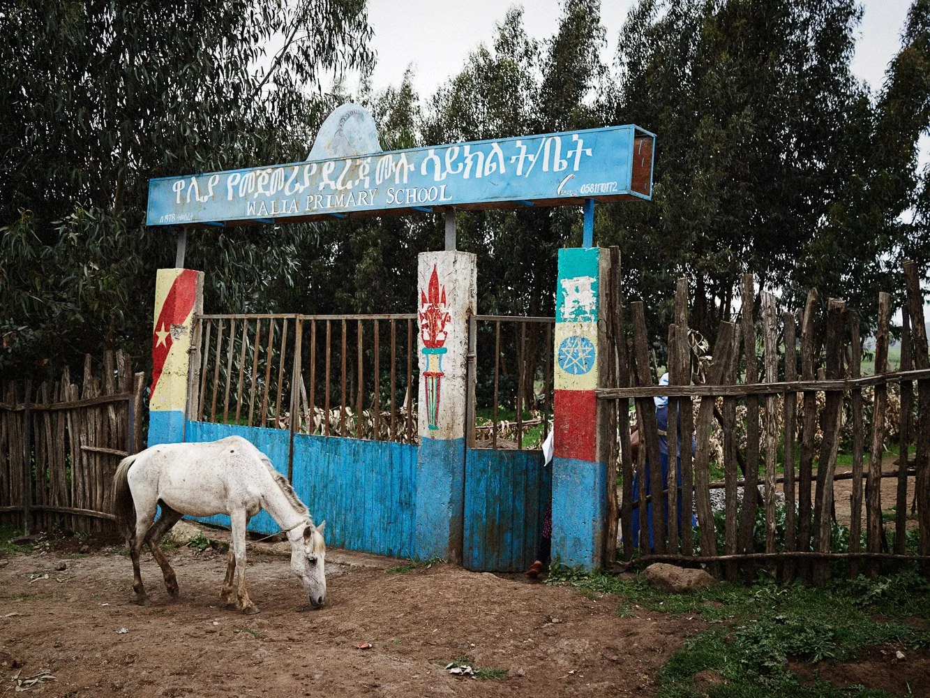 Manuel_Ferrigato_LightForTheWorld_Ethiopia (1).jpg