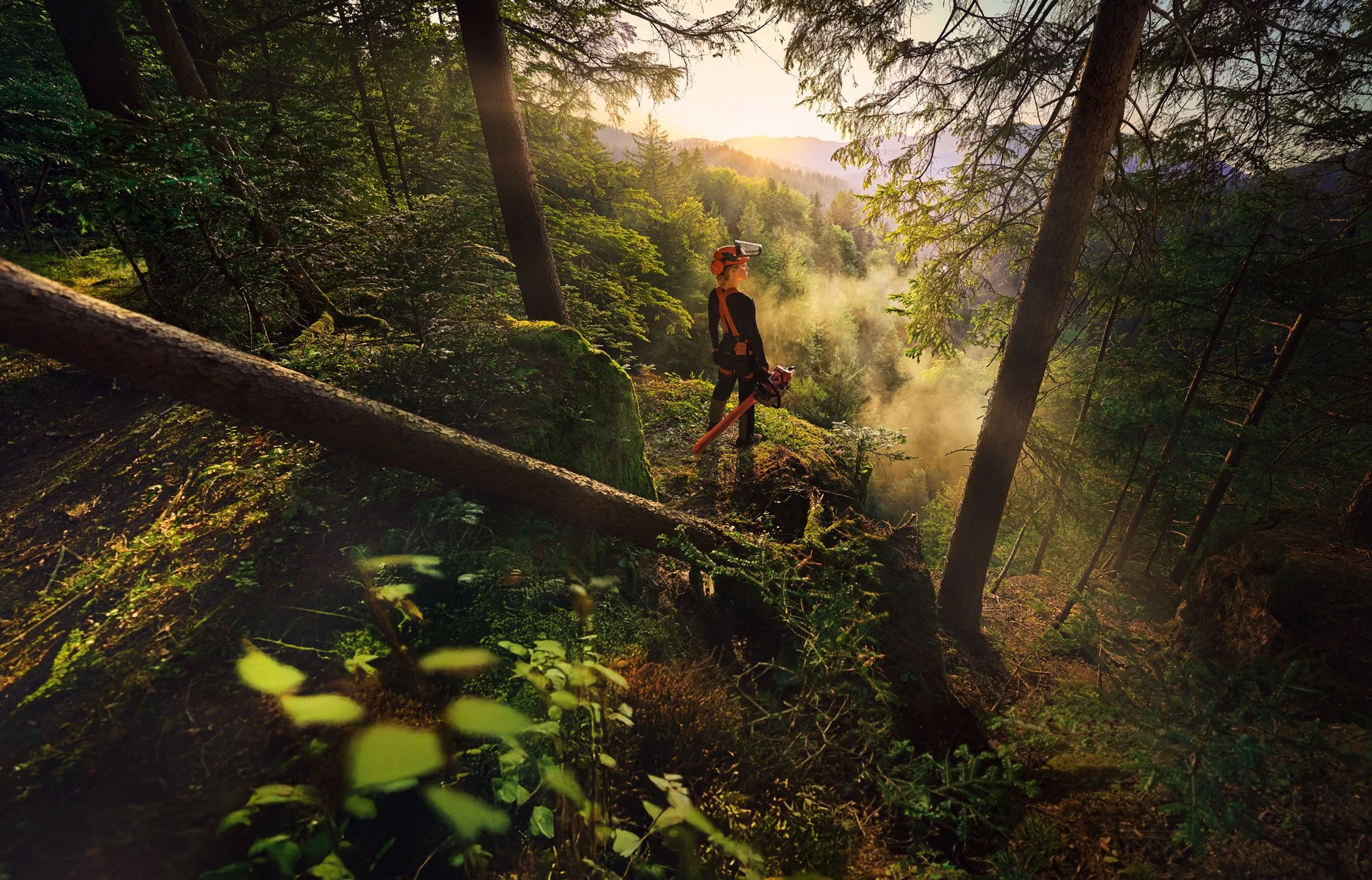 100YR_FORESTRY_US_KV_RGB_HQ_P_2025_12_0001-02_low.jpg