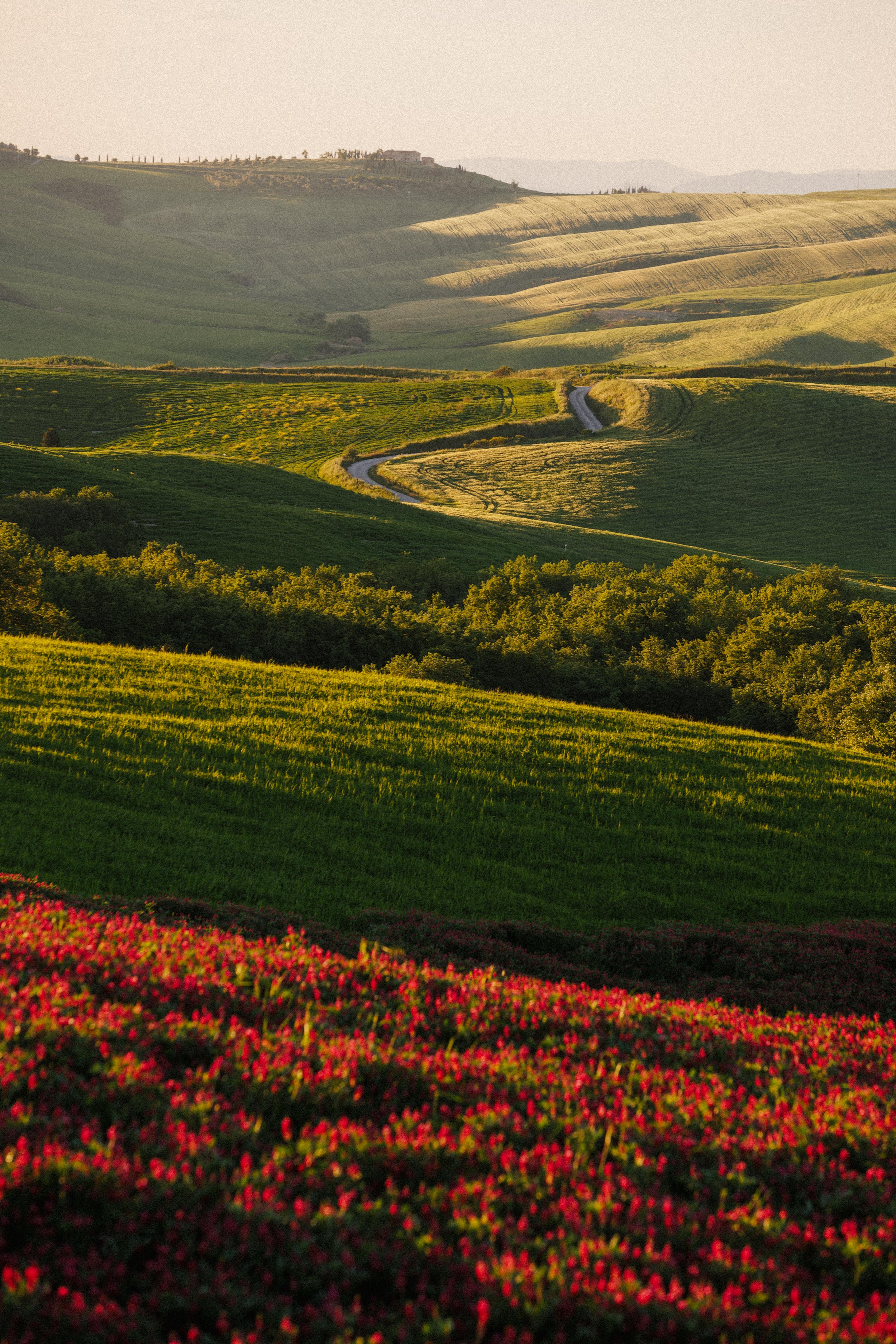 Maloja Summer 2025 Gravel Bike 18369.jpg