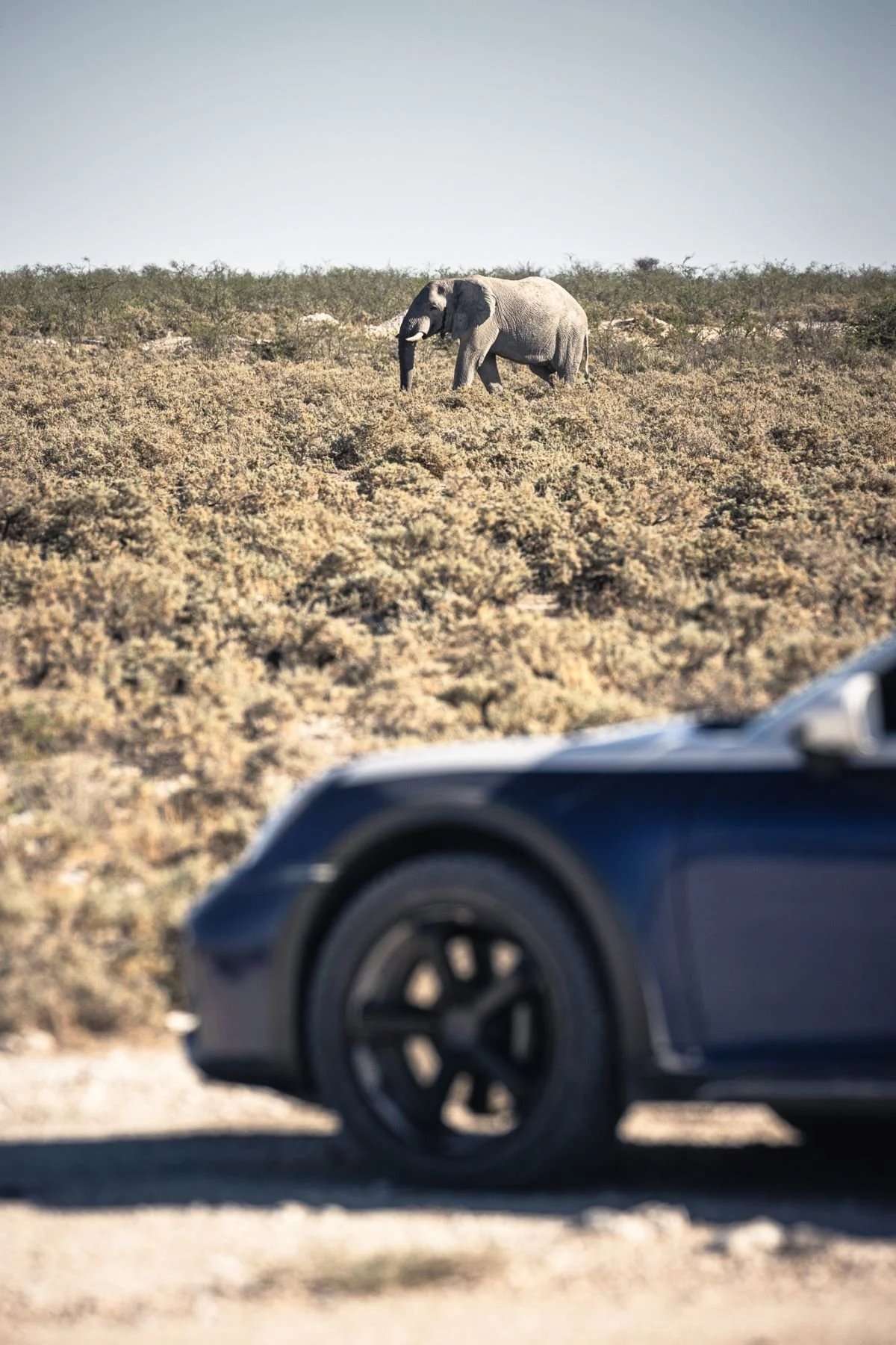 Porsche-Namibia_Attenberger_(10).jpg