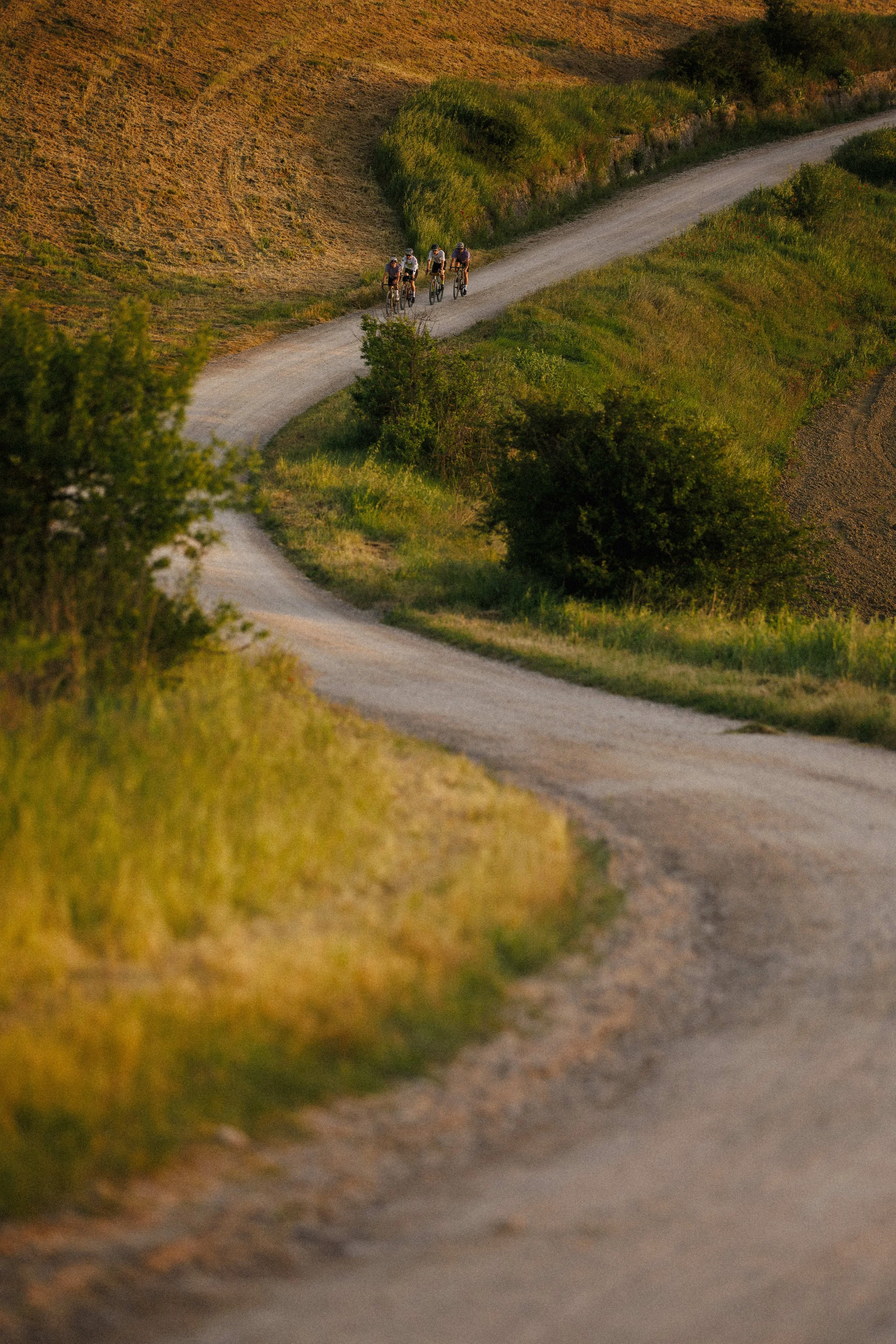Maloja Summer 2025 Gravel Bike 18923.jpg