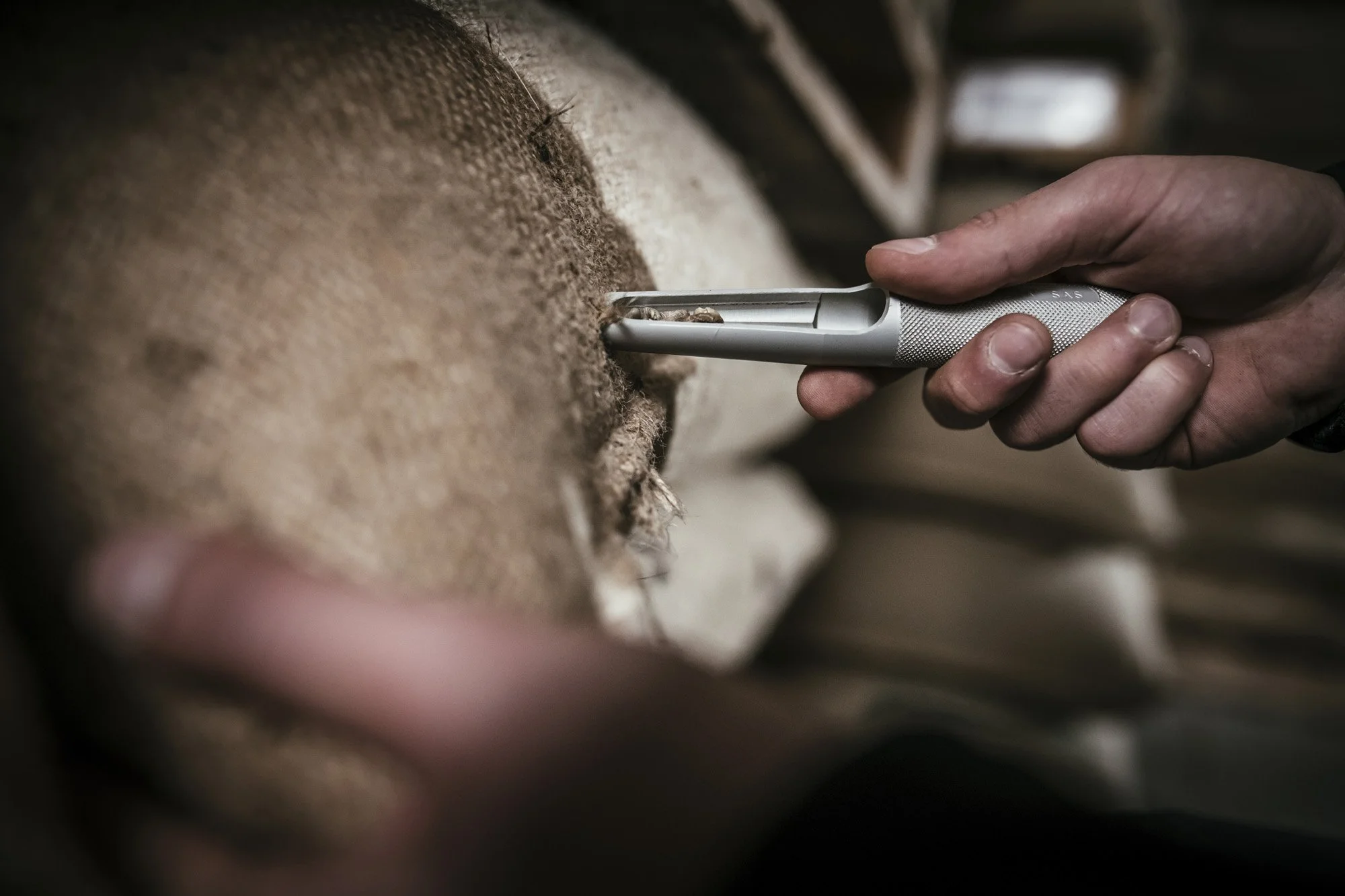 Manuel Uebler_Wuerth_Pascucci_(11).jpg