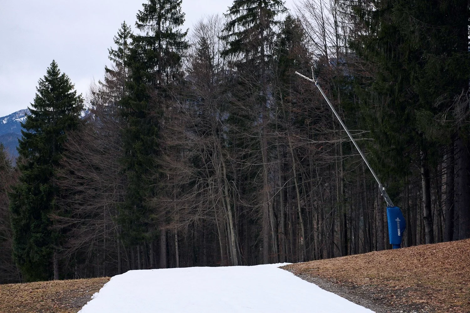 Manuel_Ferrigato_Schoeffel_Magazin_Schneefrei (9).jpg