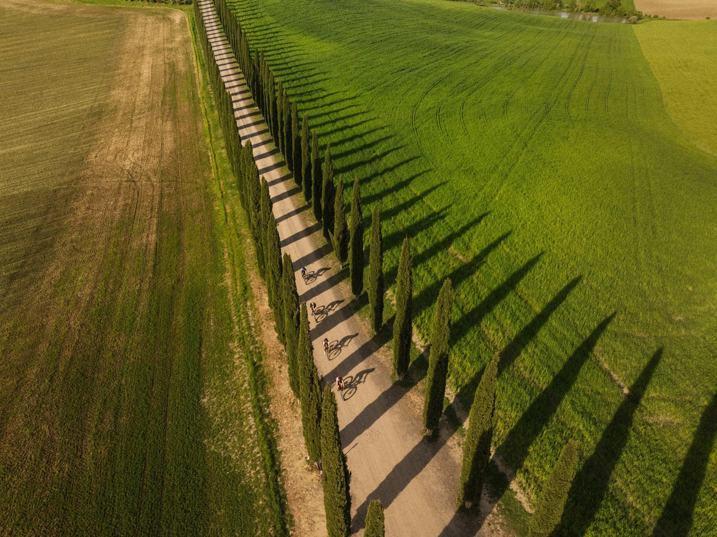 Maloja Summer 2025 Gravel Bike DJI_0842_D.jpg