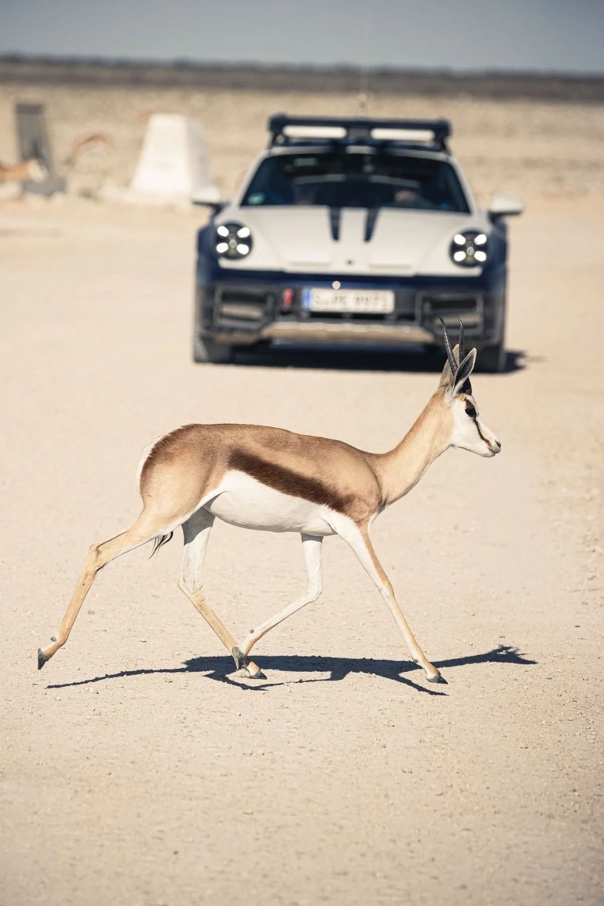 Porsche-Namibia_Attenberger_(9).jpg