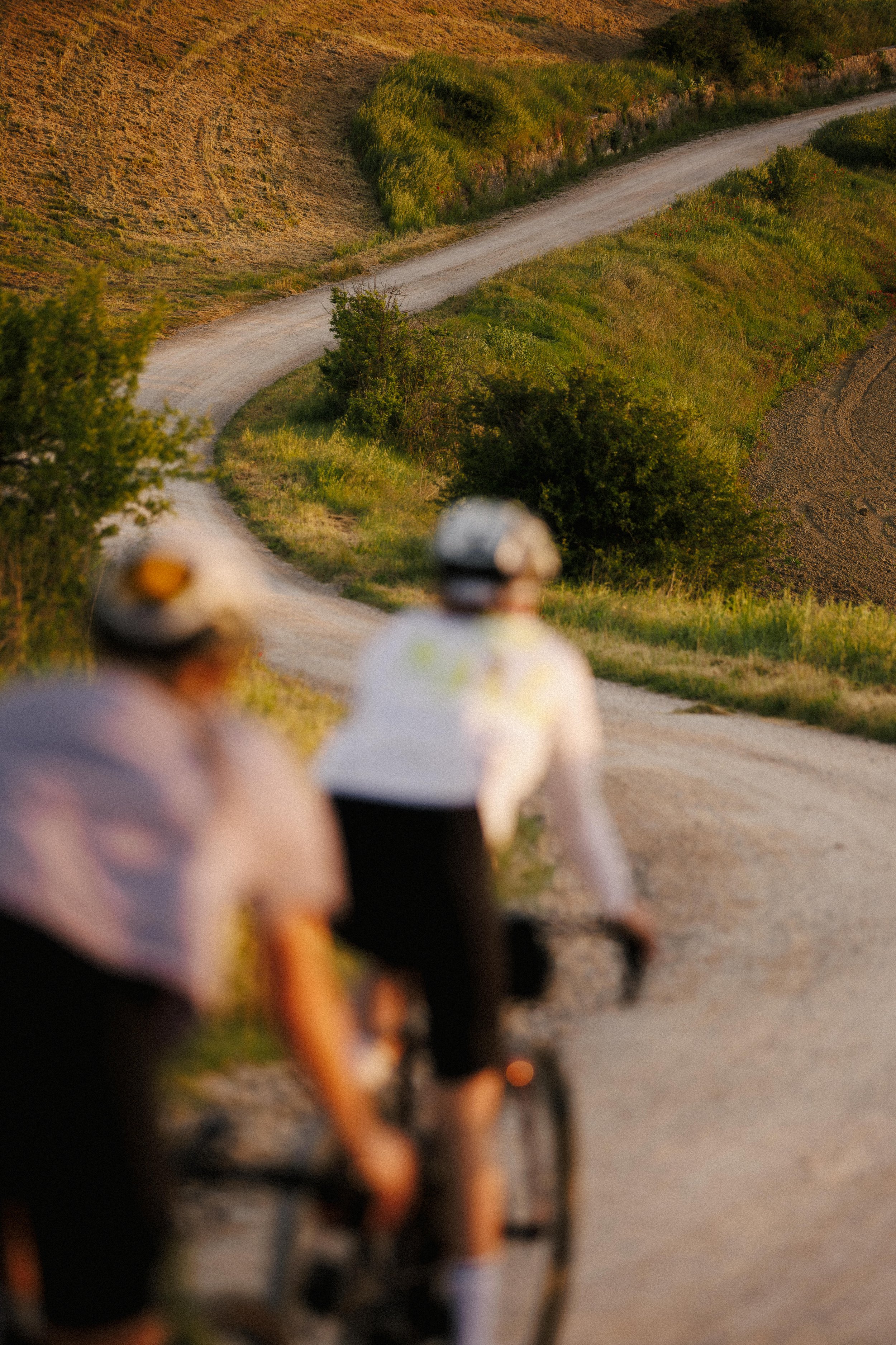Maloja Summer 2025 Gravel Bike 18859.jpg