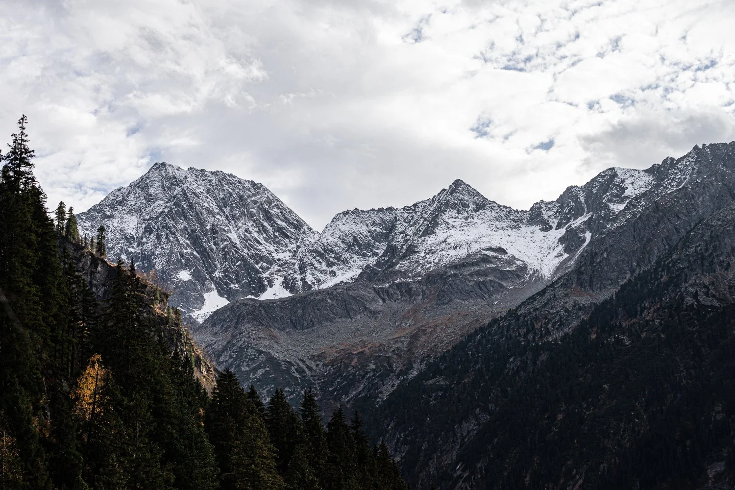 _L1Q1662_lowres.jpg