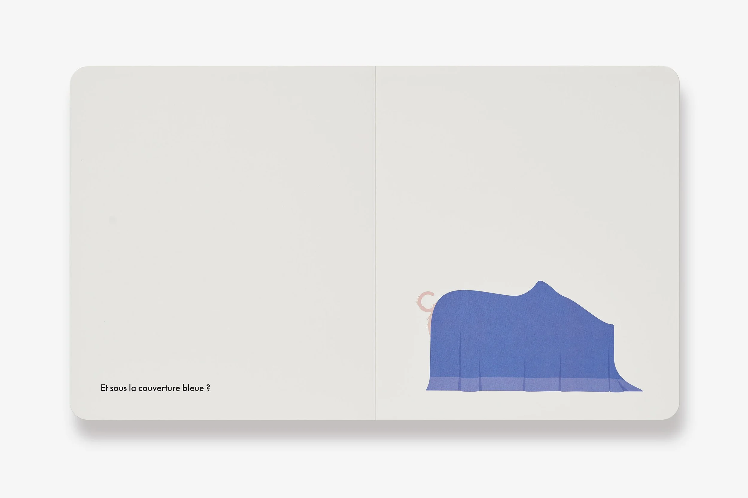 DanielCarlsten_QuiCeCache_Spread_008.jpg