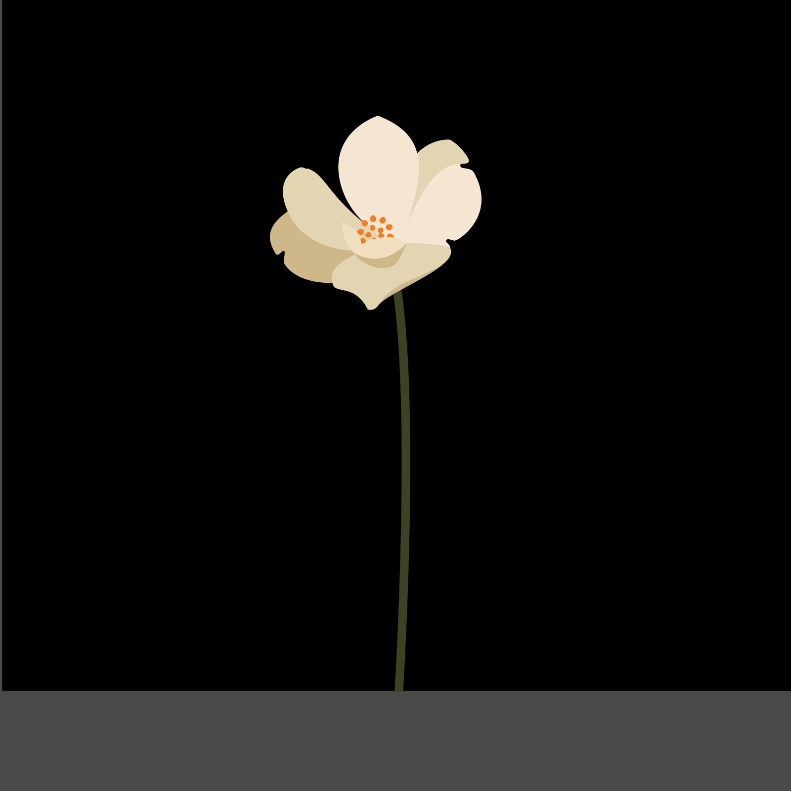 MMS_CosmosFlower.gif