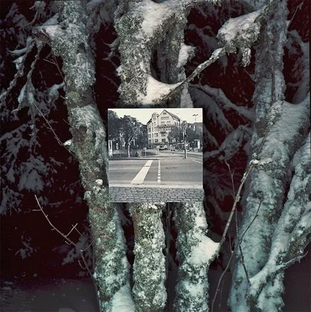 36.JPG