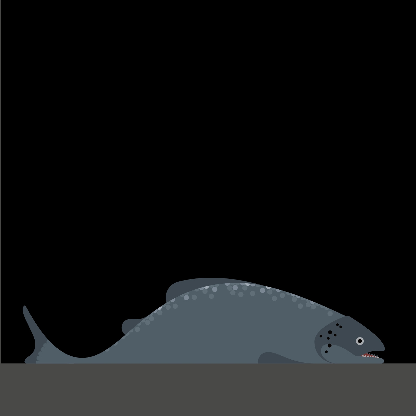 MMS_Fish.gif