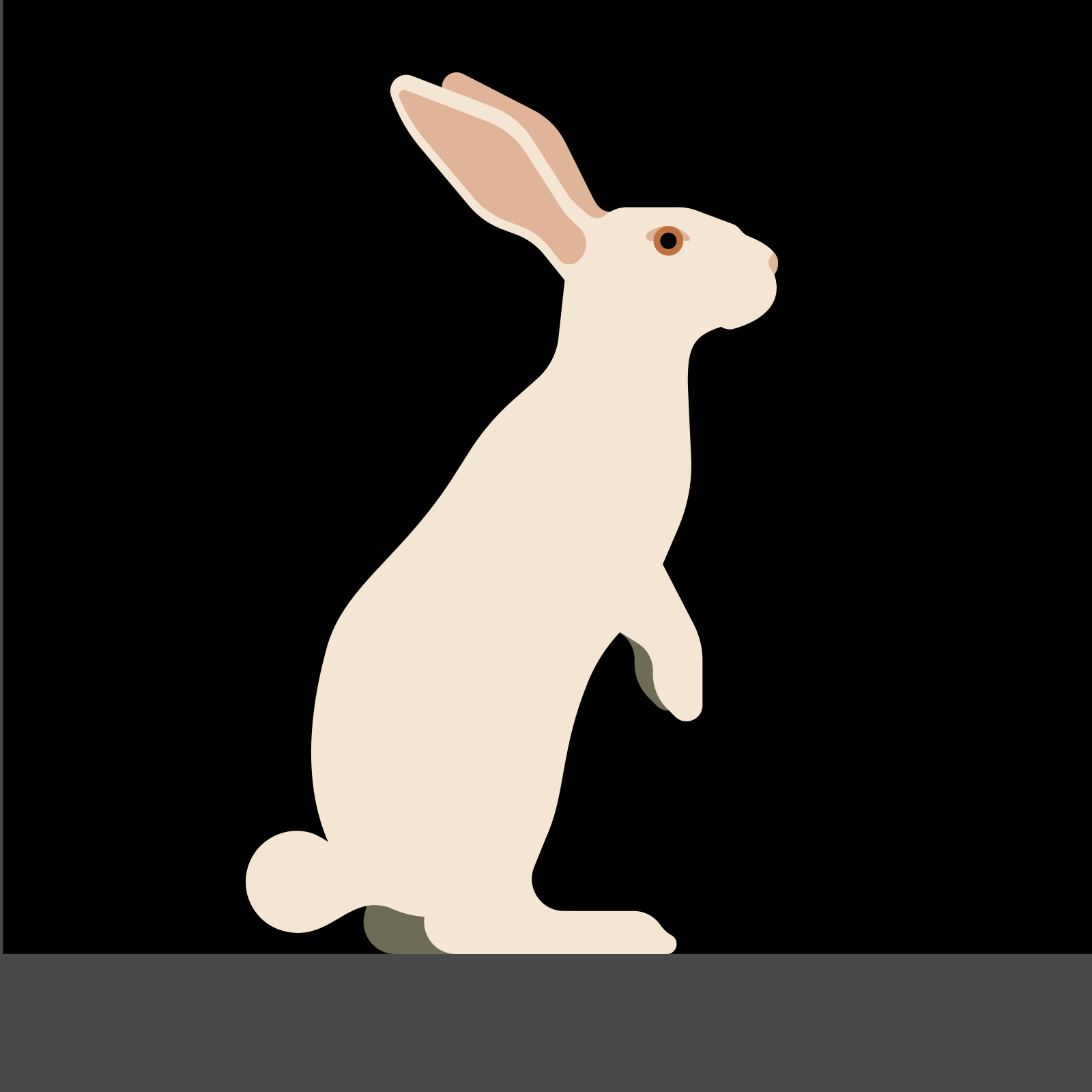MMS_Rabbit.gif