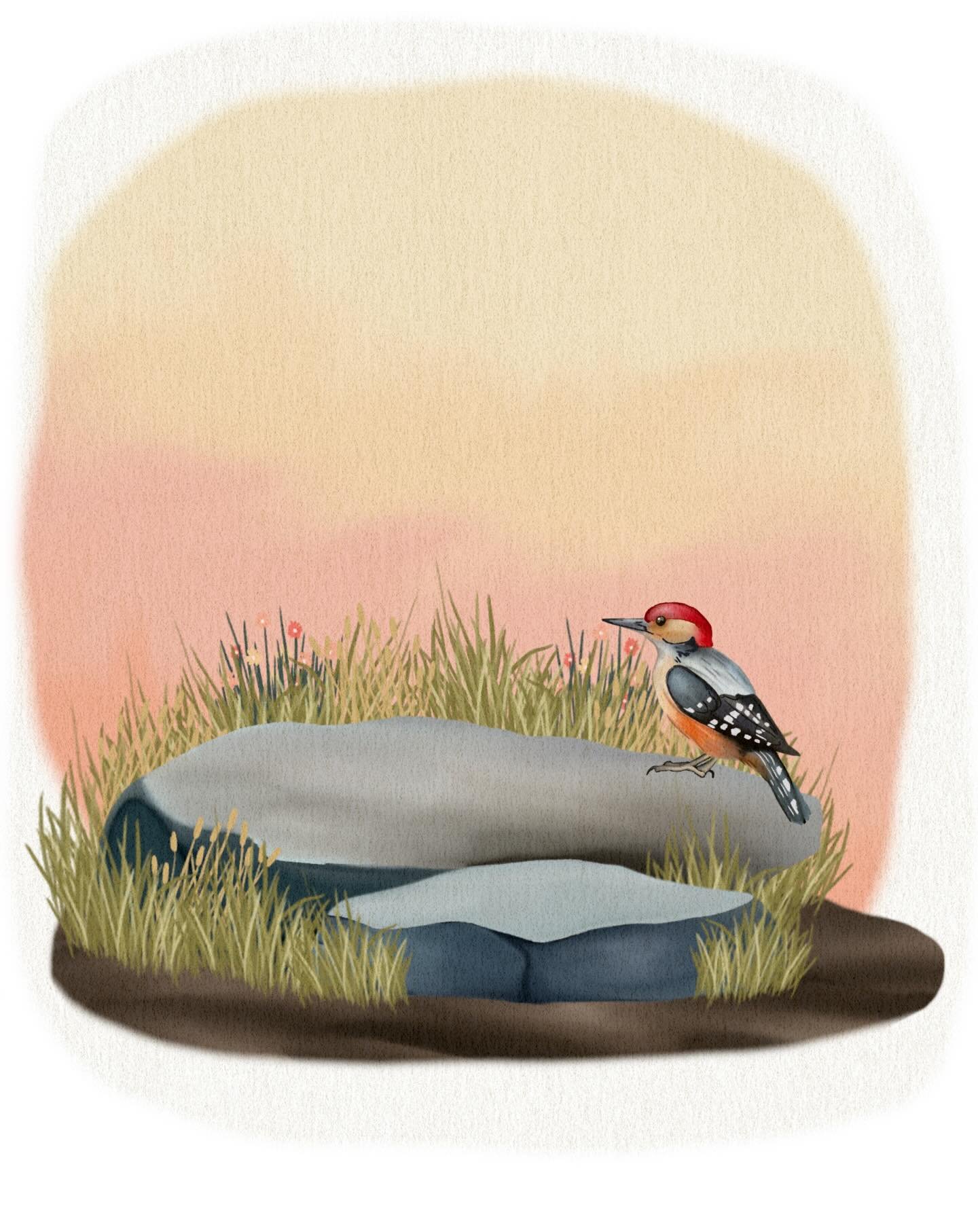 #childrensbook #childrensbookillustrator #childrensillustration #kidslit #childrensbookillustration