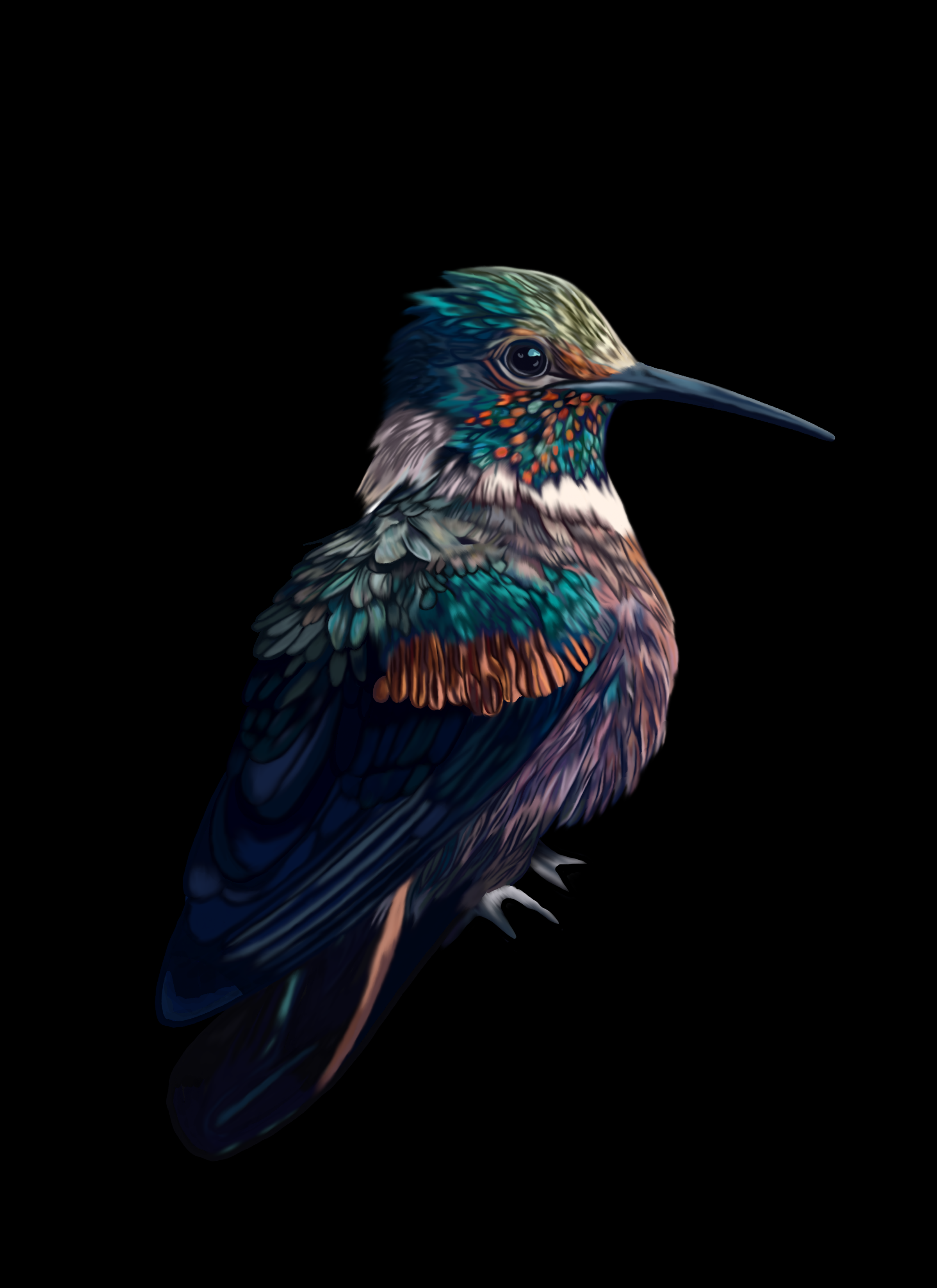 Untitled_Artwork 61.png