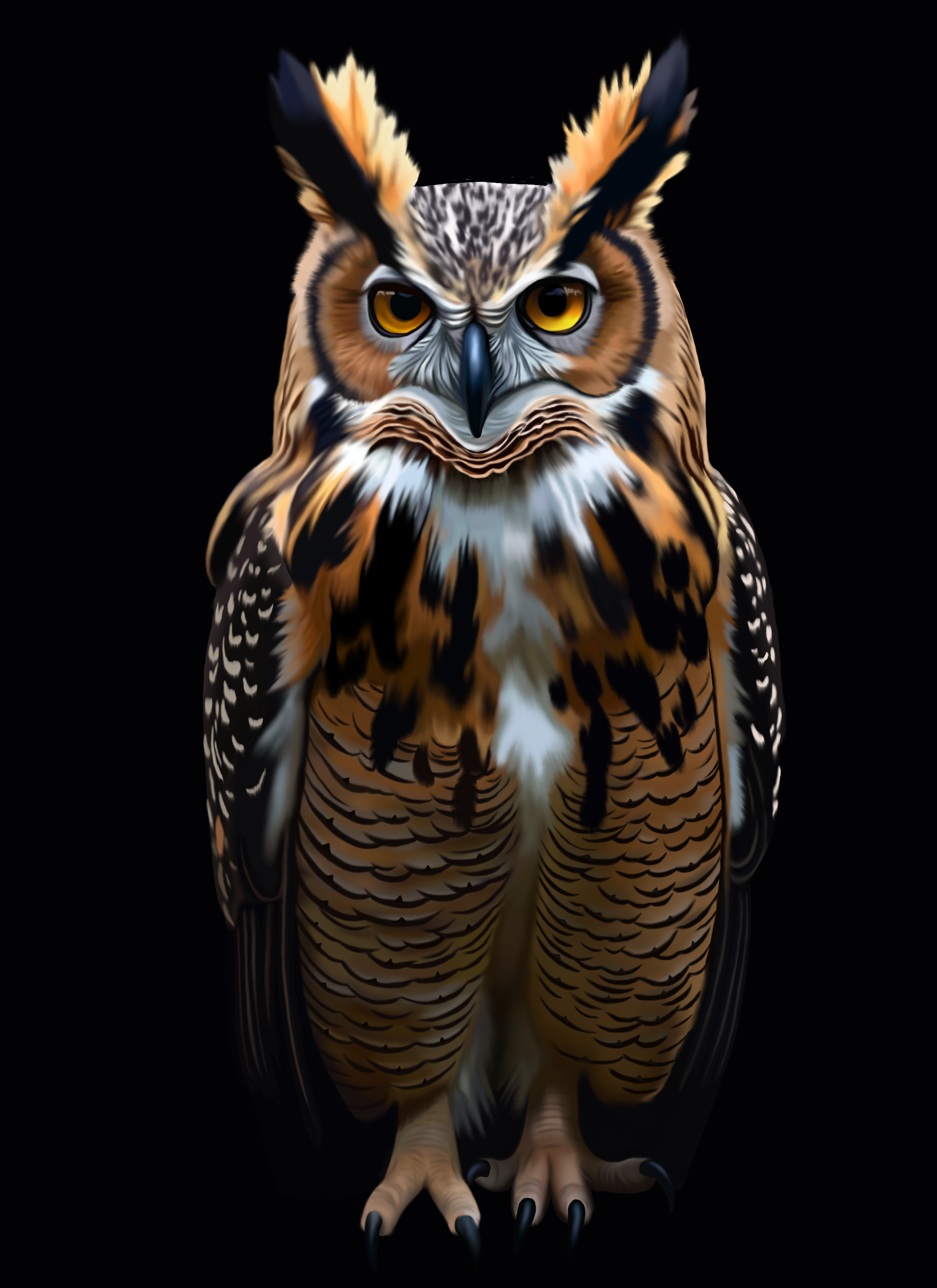 Untitled_Artwork 64.png