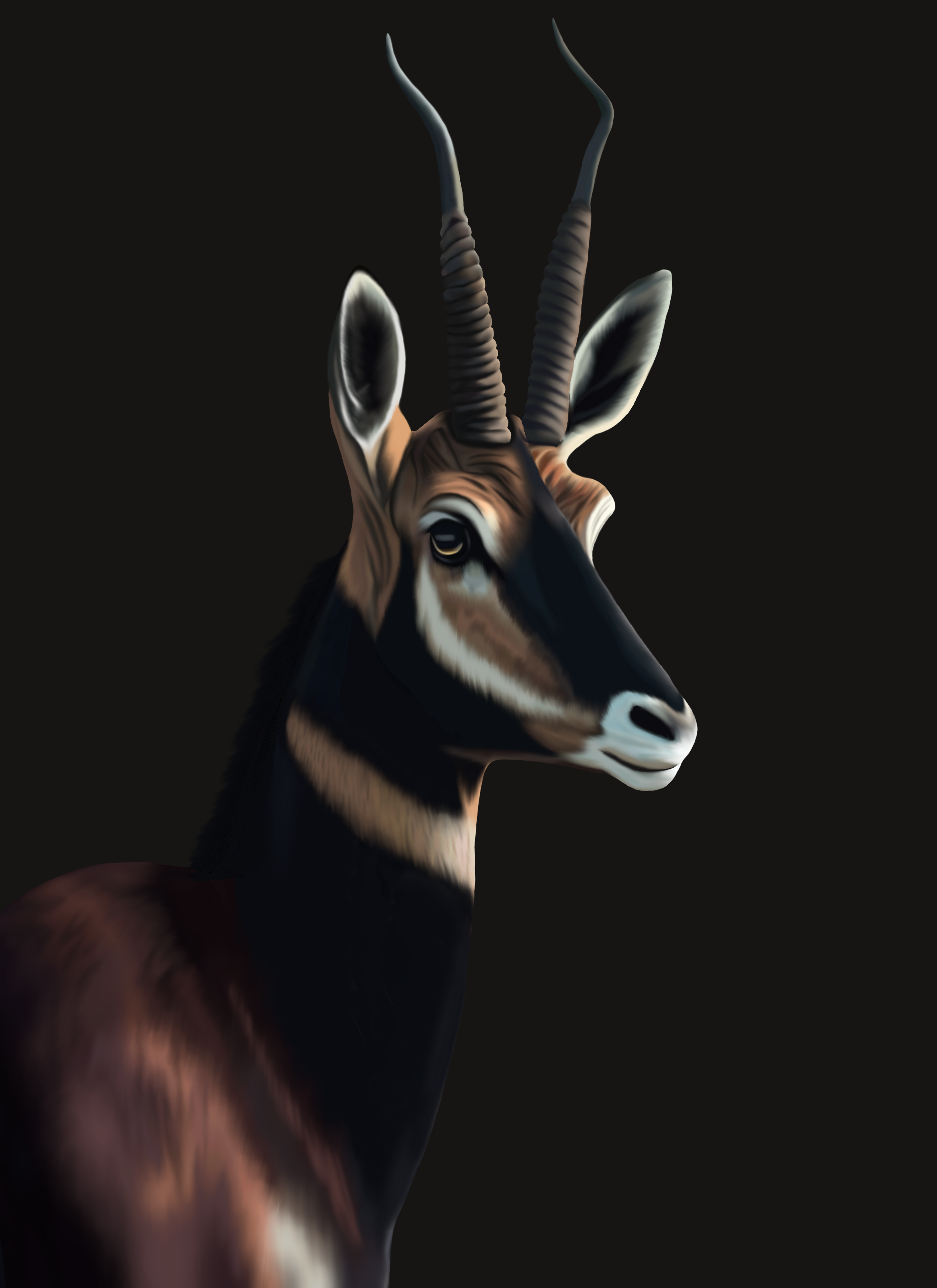 Untitled_Artwork 70.png